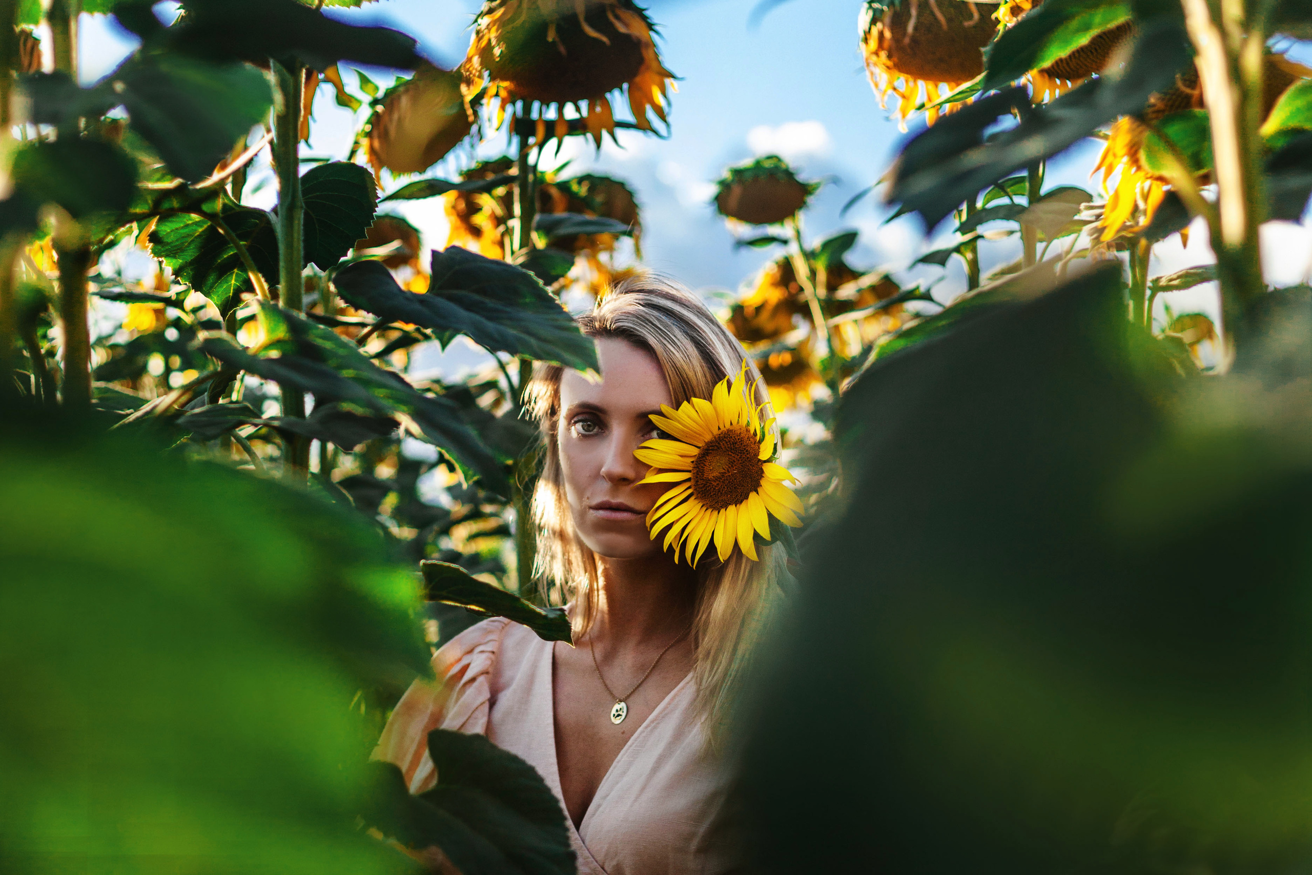 Коломна, стога и подсолнухи. Фотограф-анималист Татьяна Степанова