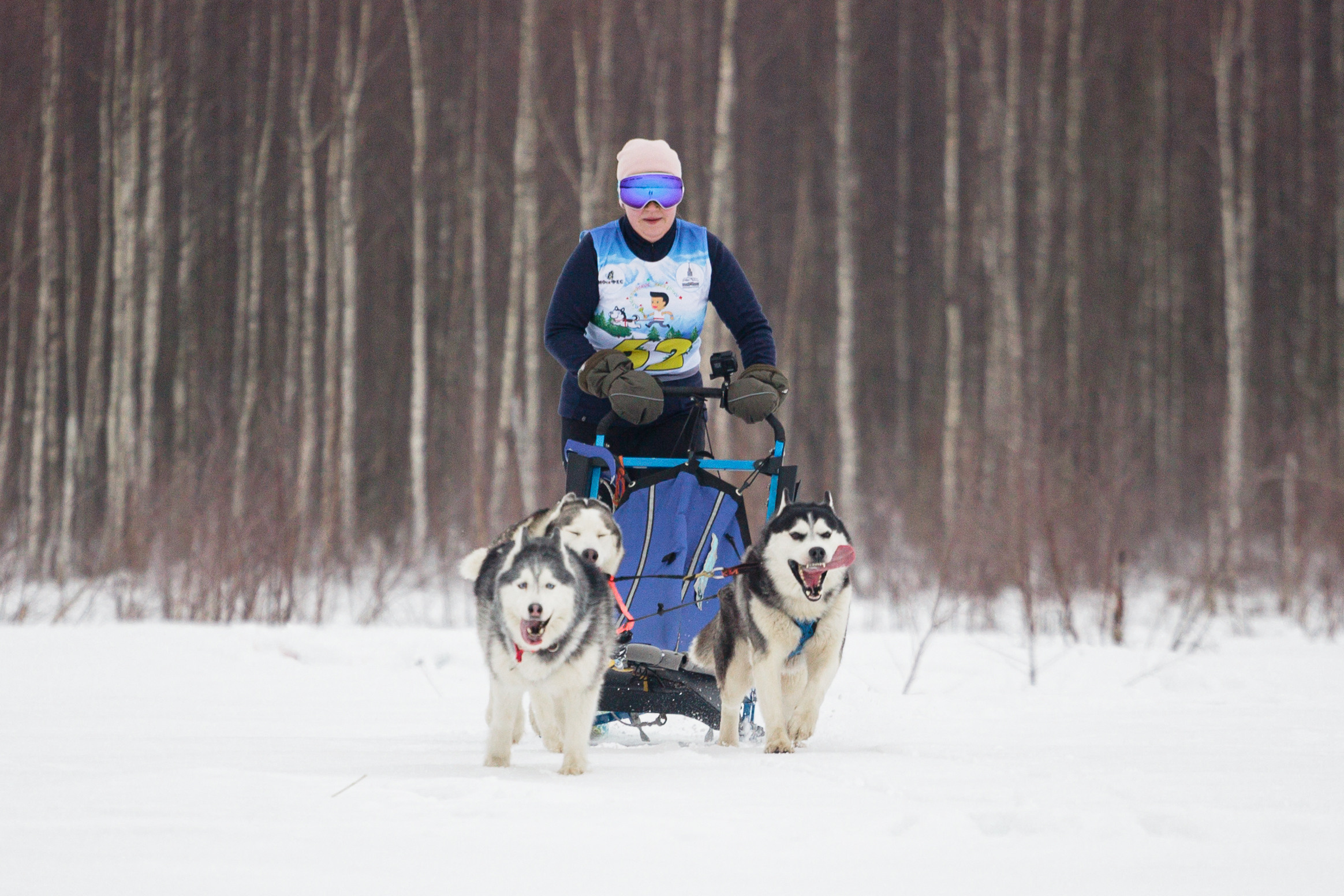 Холодные игры 28 февраля 2022. Фотограф-анималист Татьяна Степанова