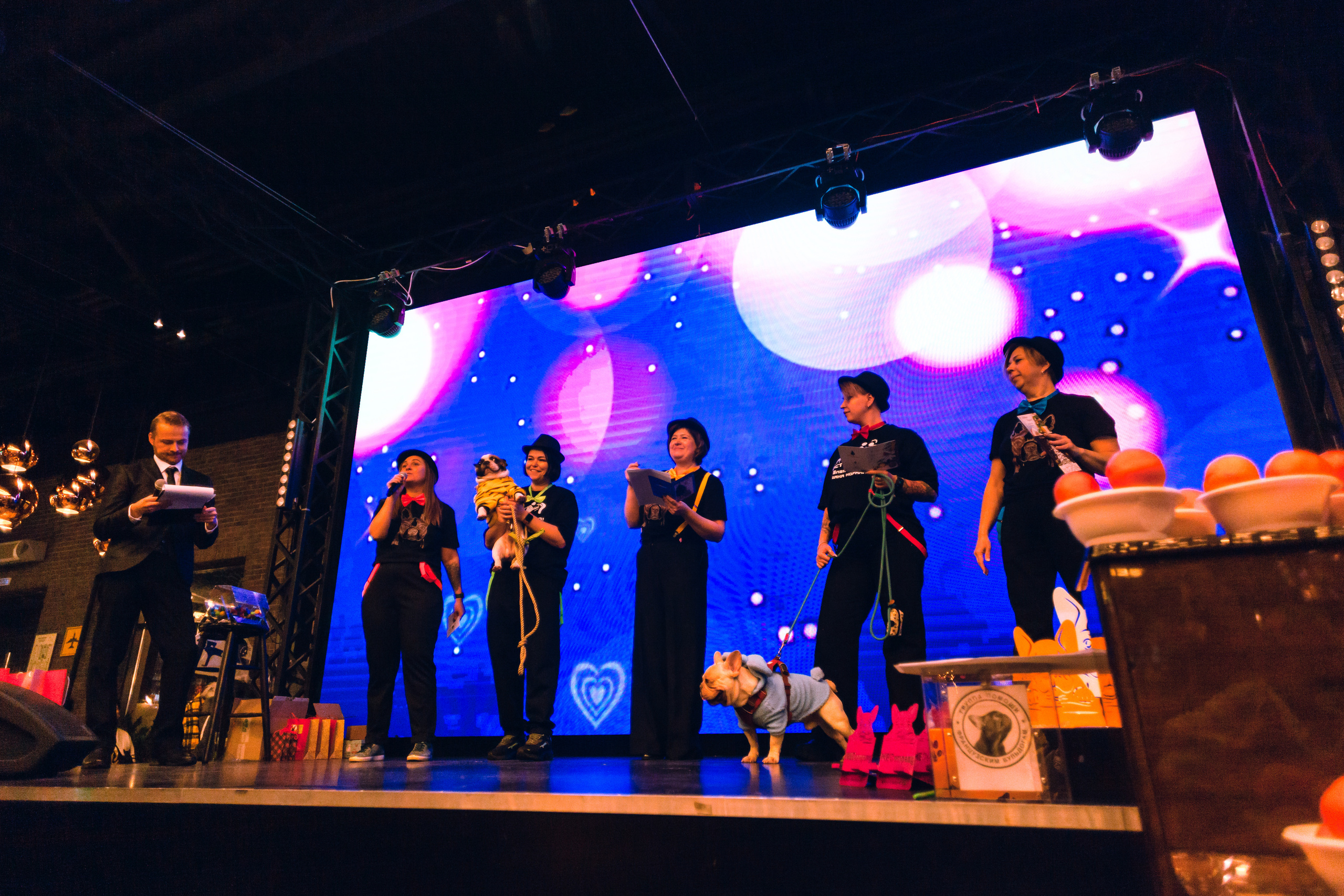 Бульелка 2022. Фотограф-анималист Татьяна Степанова