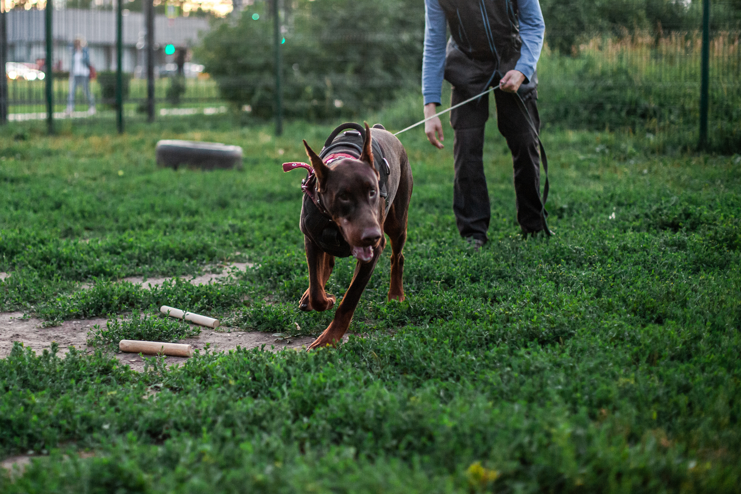 Занятие ЗКС+Выборка 2022. Фотограф-анималист Татьяна Степанова