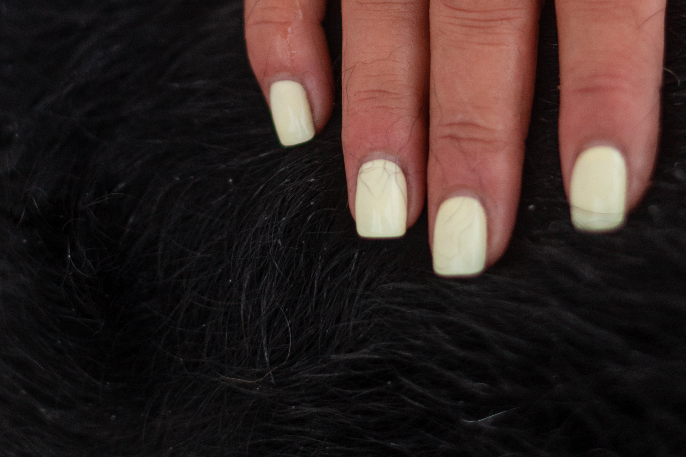 Лиза и Бренда. Фотограф-анималист Татьяна Степанова