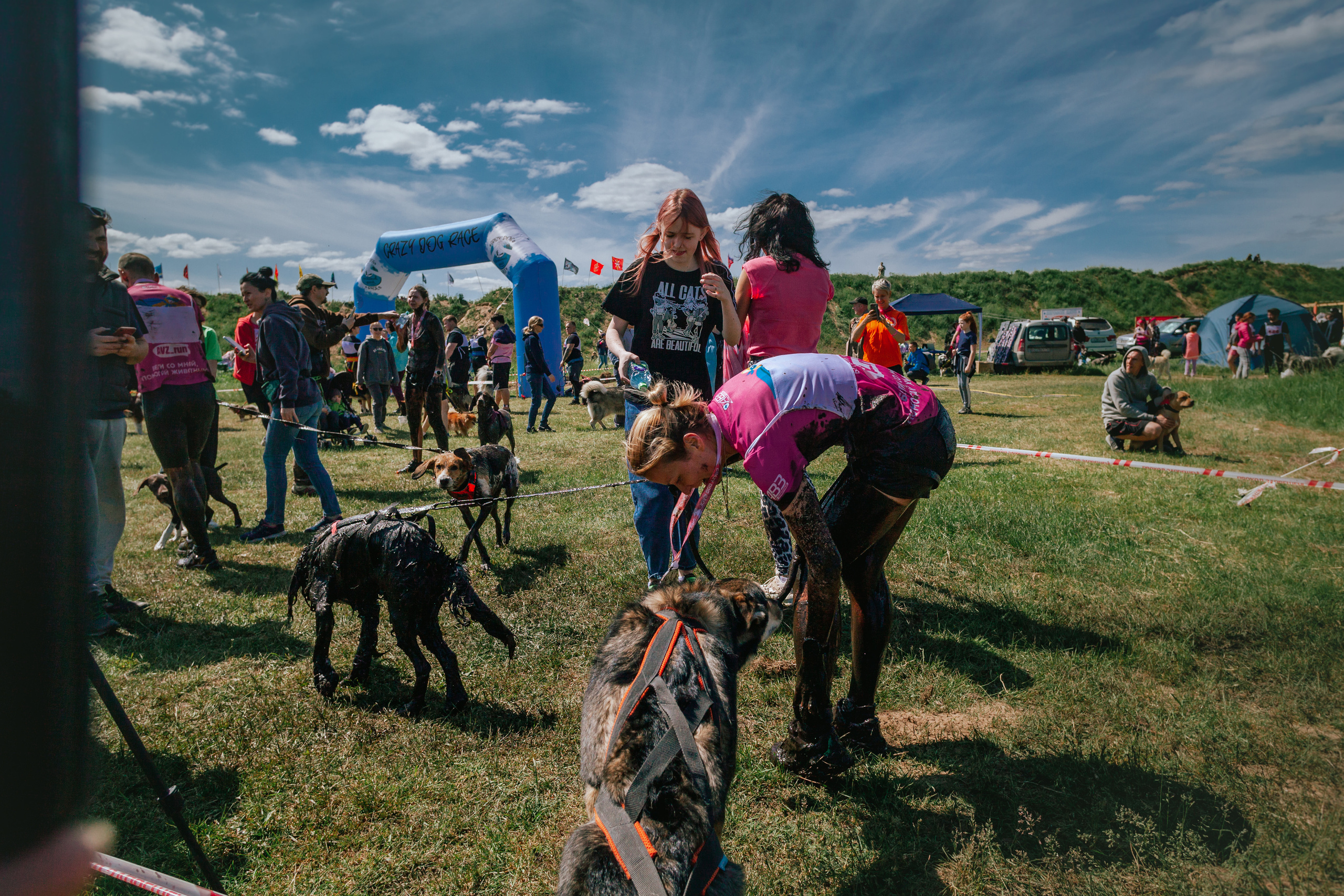 Хвостатый Драйв 11.06.2023. Фотограф-анималист Татьяна Степанова