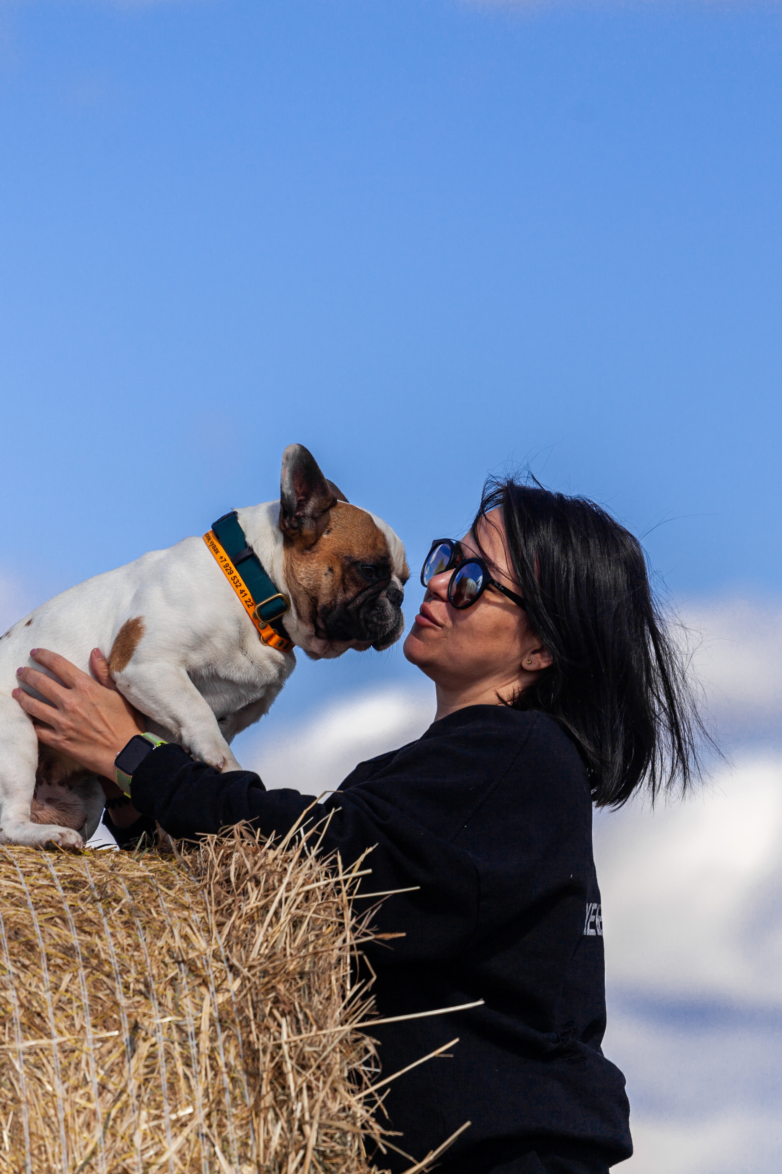 Коломна, стога и подсолнухи. Фотограф-анималист Татьяна Степанова