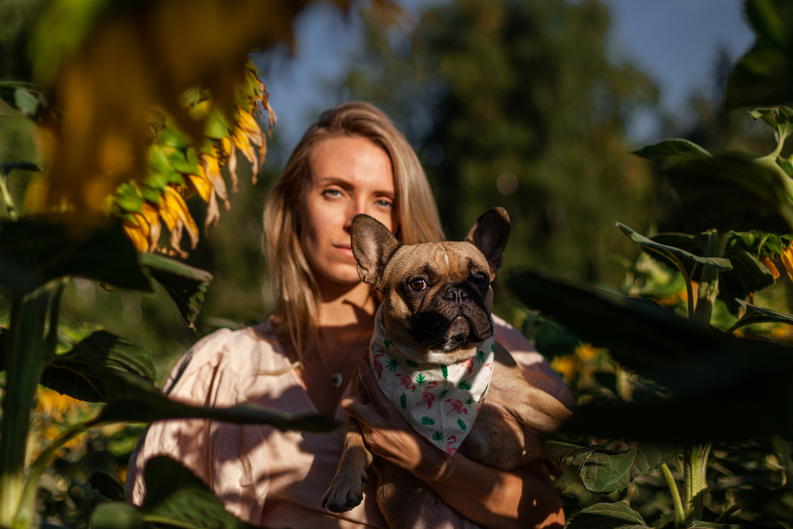 Коломна, стога и подсолнухи. Фотограф-анималист Татьяна Степанова