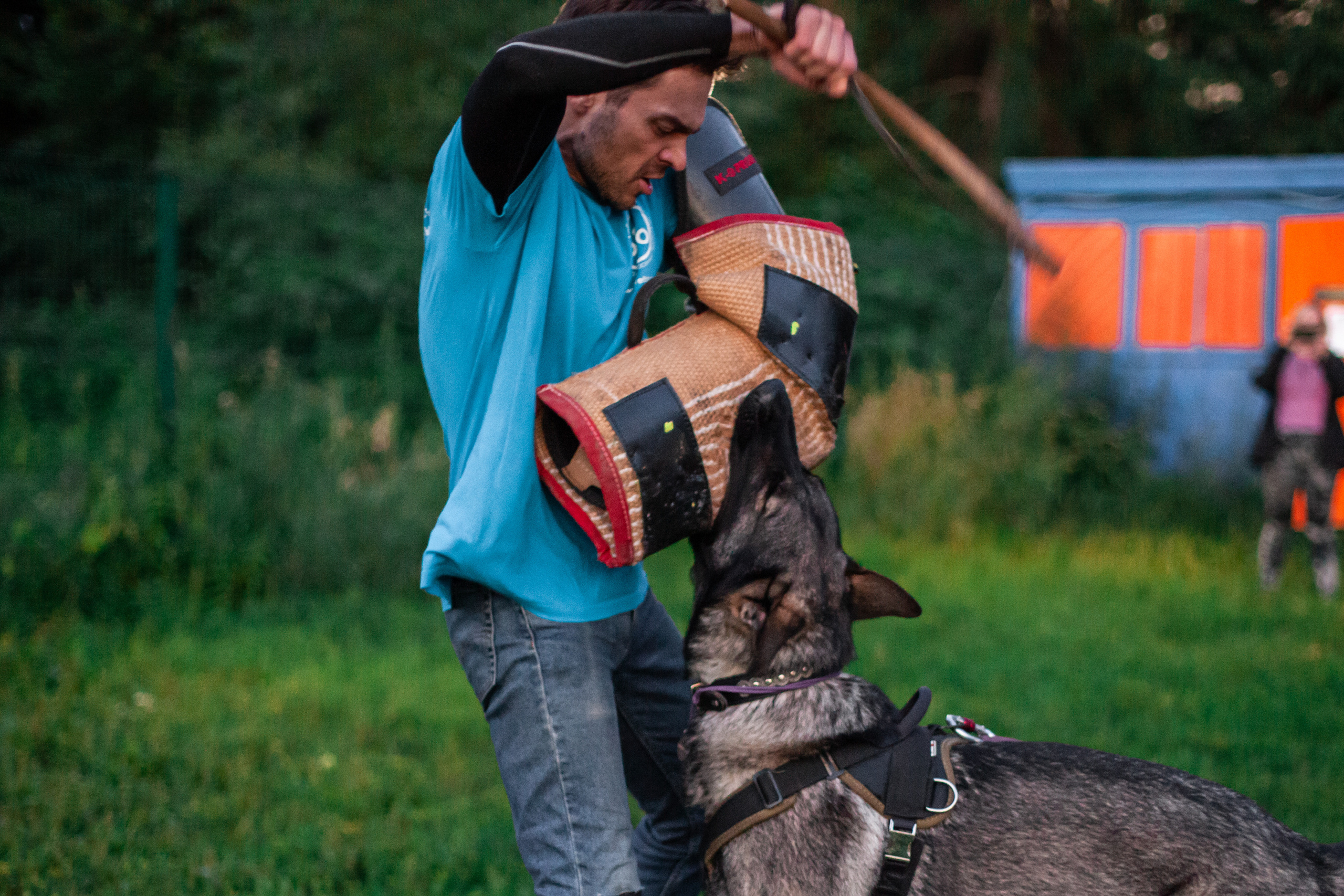 Занятие ЗКС+Выборка 2022. Фотограф-анималист Татьяна Степанова