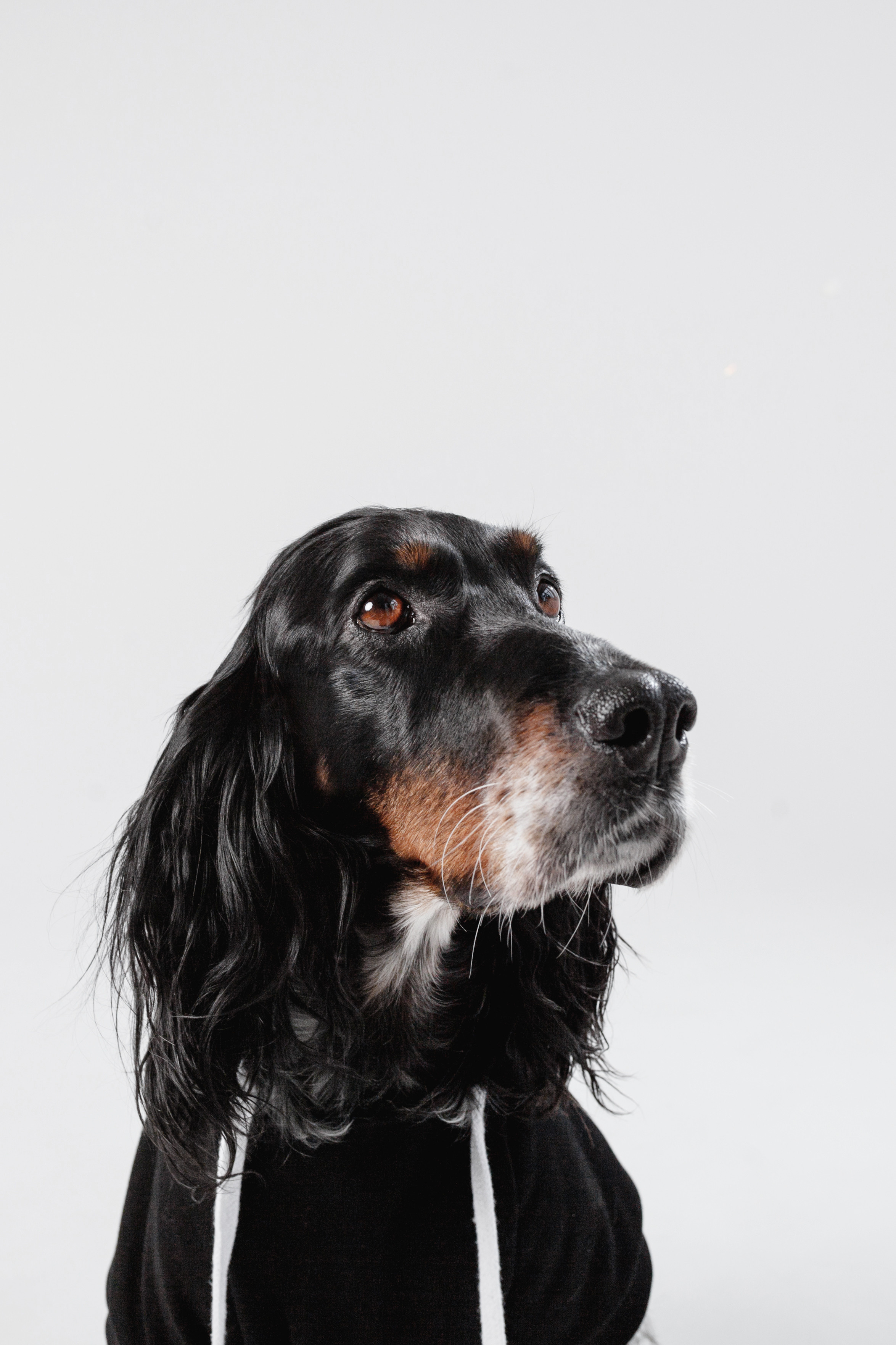 Света и Богдана. Фотограф-анималист Татьяна Степанова