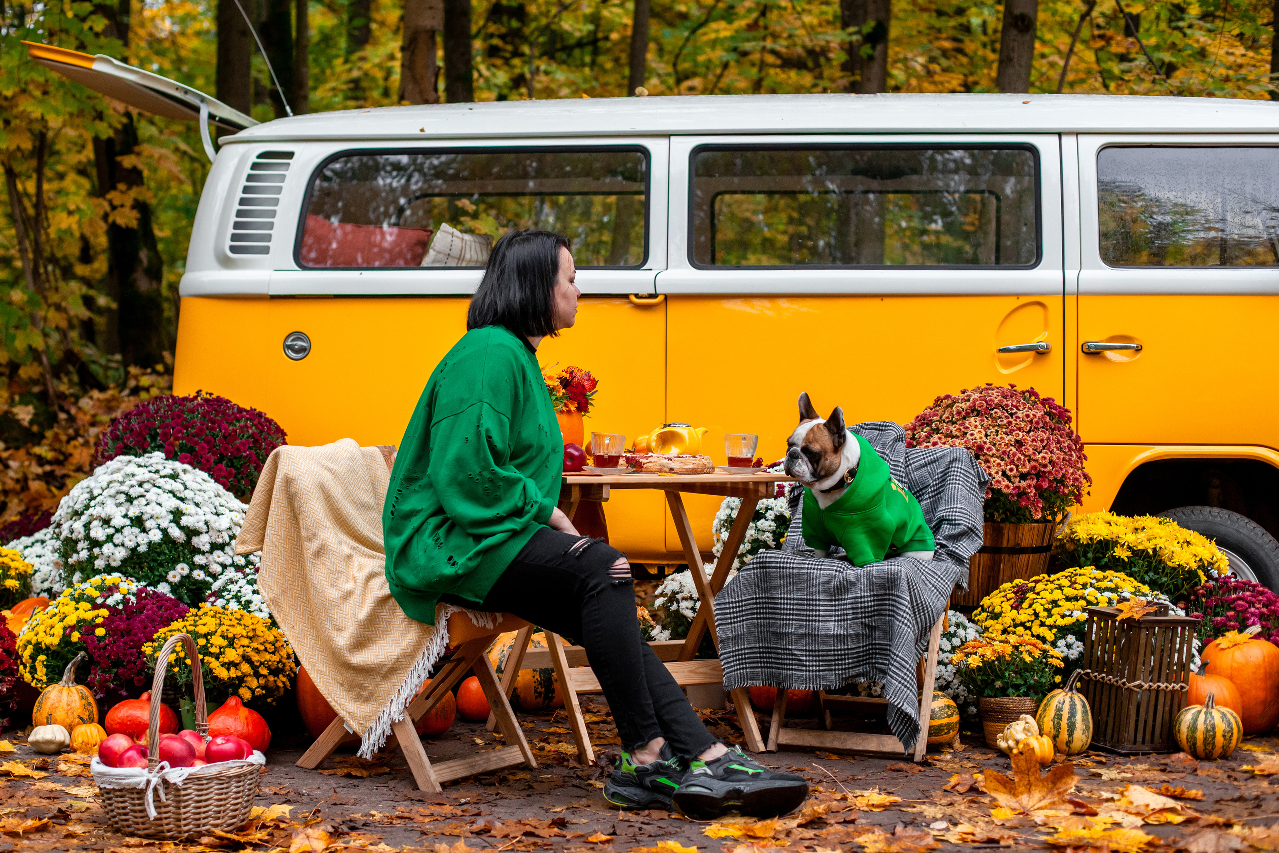 Съемка с ретро автобусом. Фотограф-анималист Татьяна Степанова