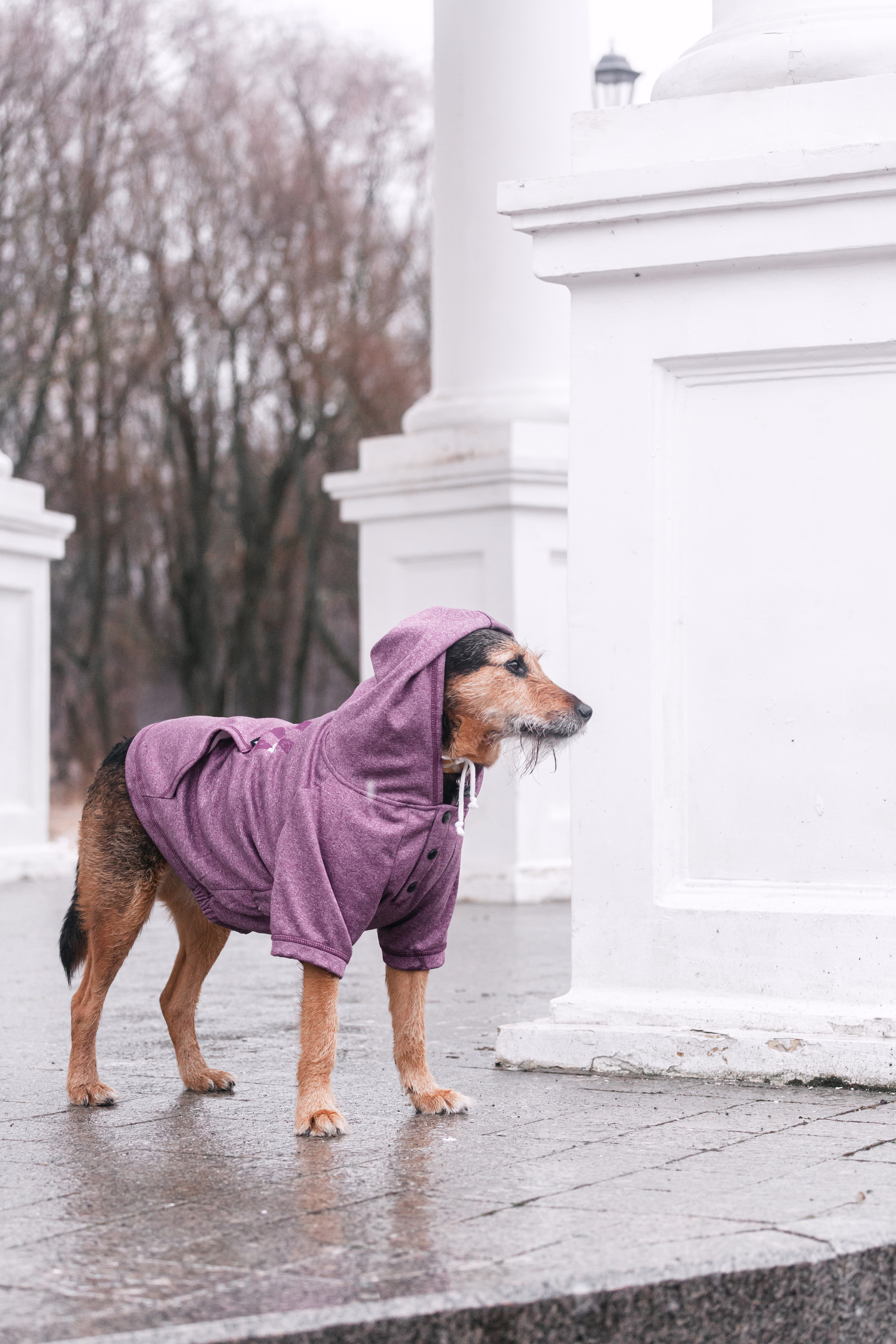 Лиза и Бренда. Фотограф-анималист Татьяна Степанова