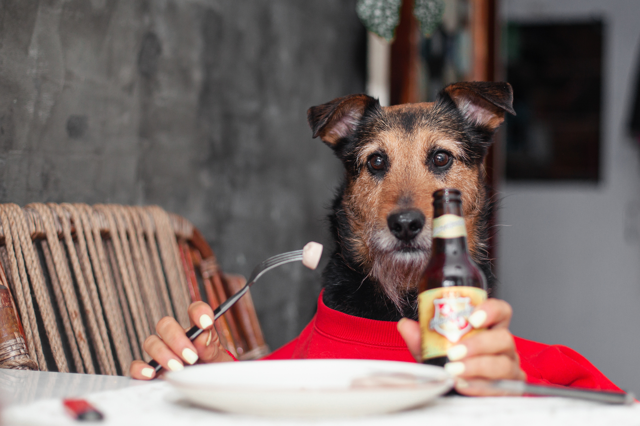 Лиза и Бренда. Фотограф-анималист Татьяна Степанова
