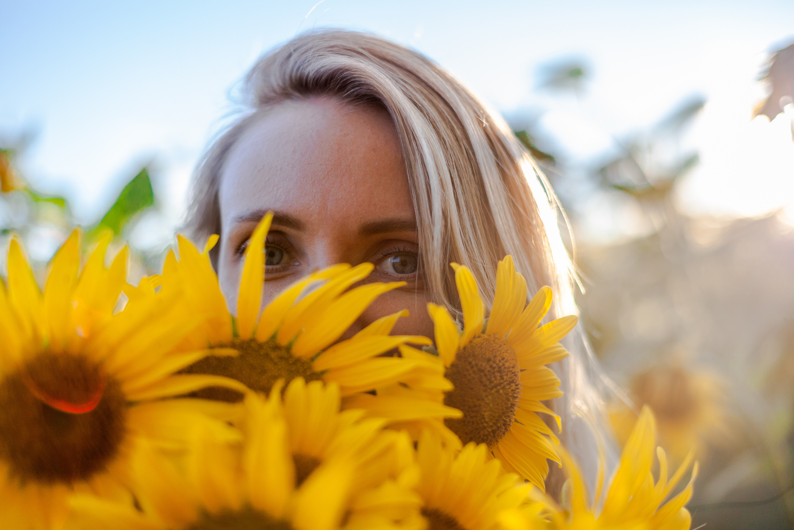 Коломна, стога и подсолнухи. Фотограф-анималист Татьяна Степанова
