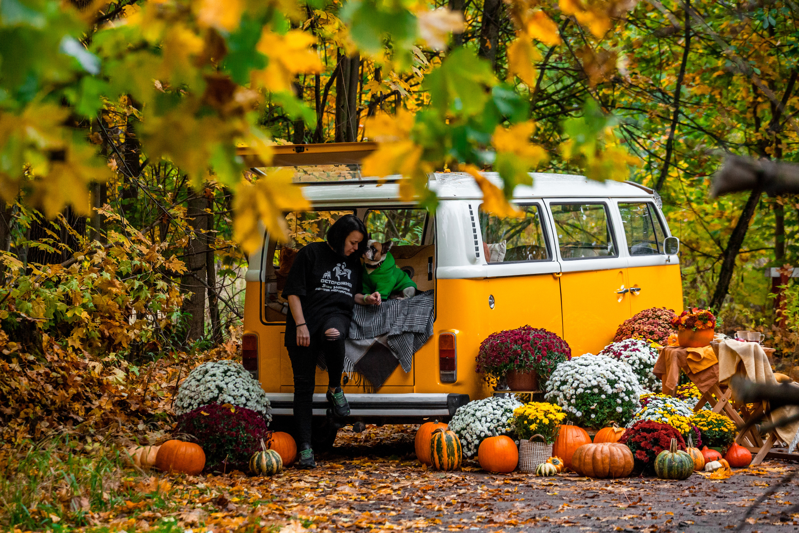 Съемка с ретро автобусом. Фотограф-анималист Татьяна Степанова