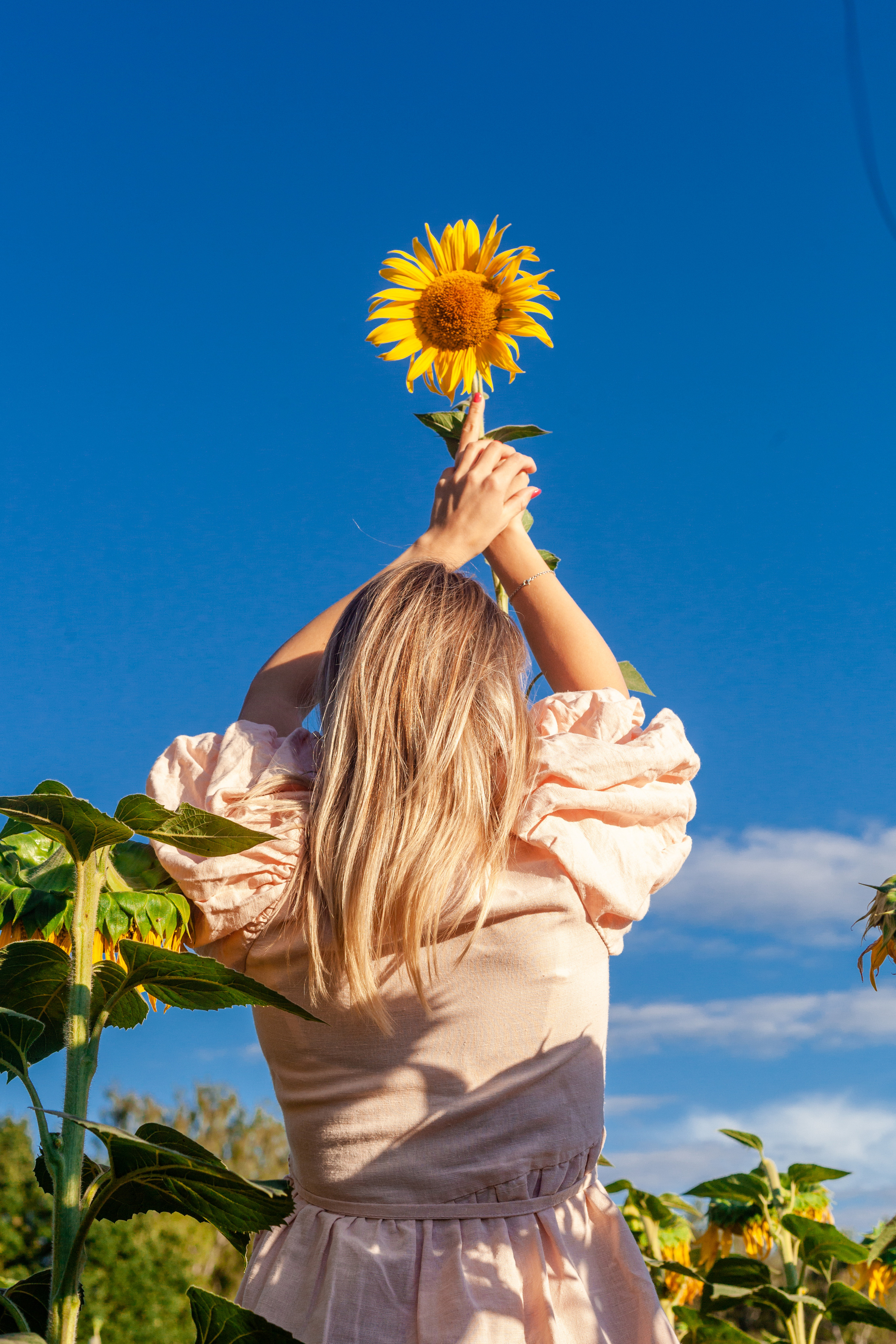 Коломна, стога и подсолнухи. Фотограф-анималист Татьяна Степанова