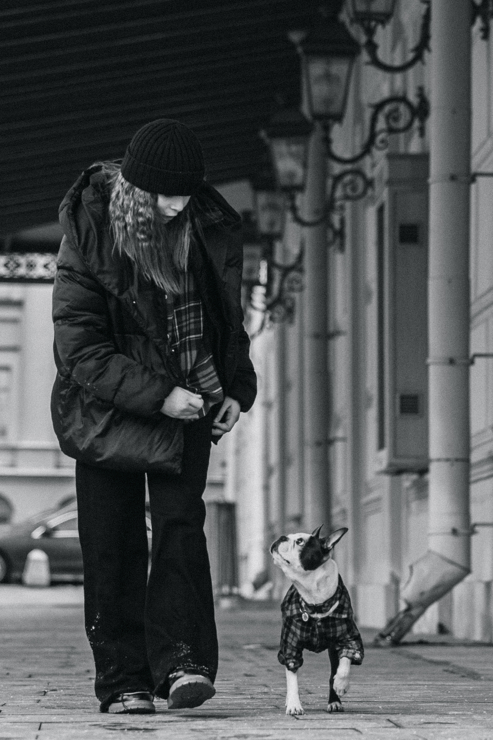 Василиса и Мира Кузнецкий мост. Фотограф-анималист Татьяна Степанова