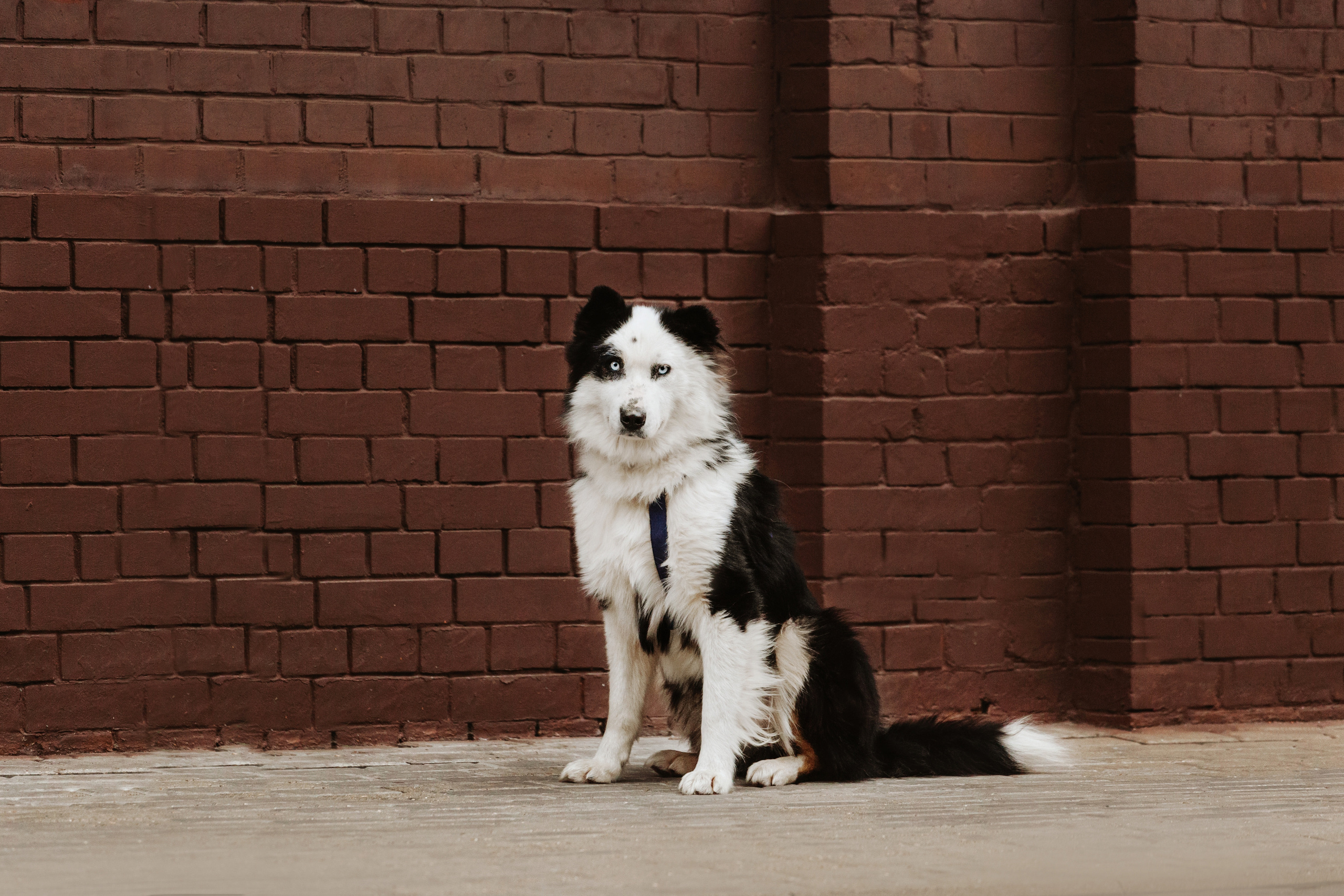 Чех 2022. Фотограф-анималист Татьяна Степанова