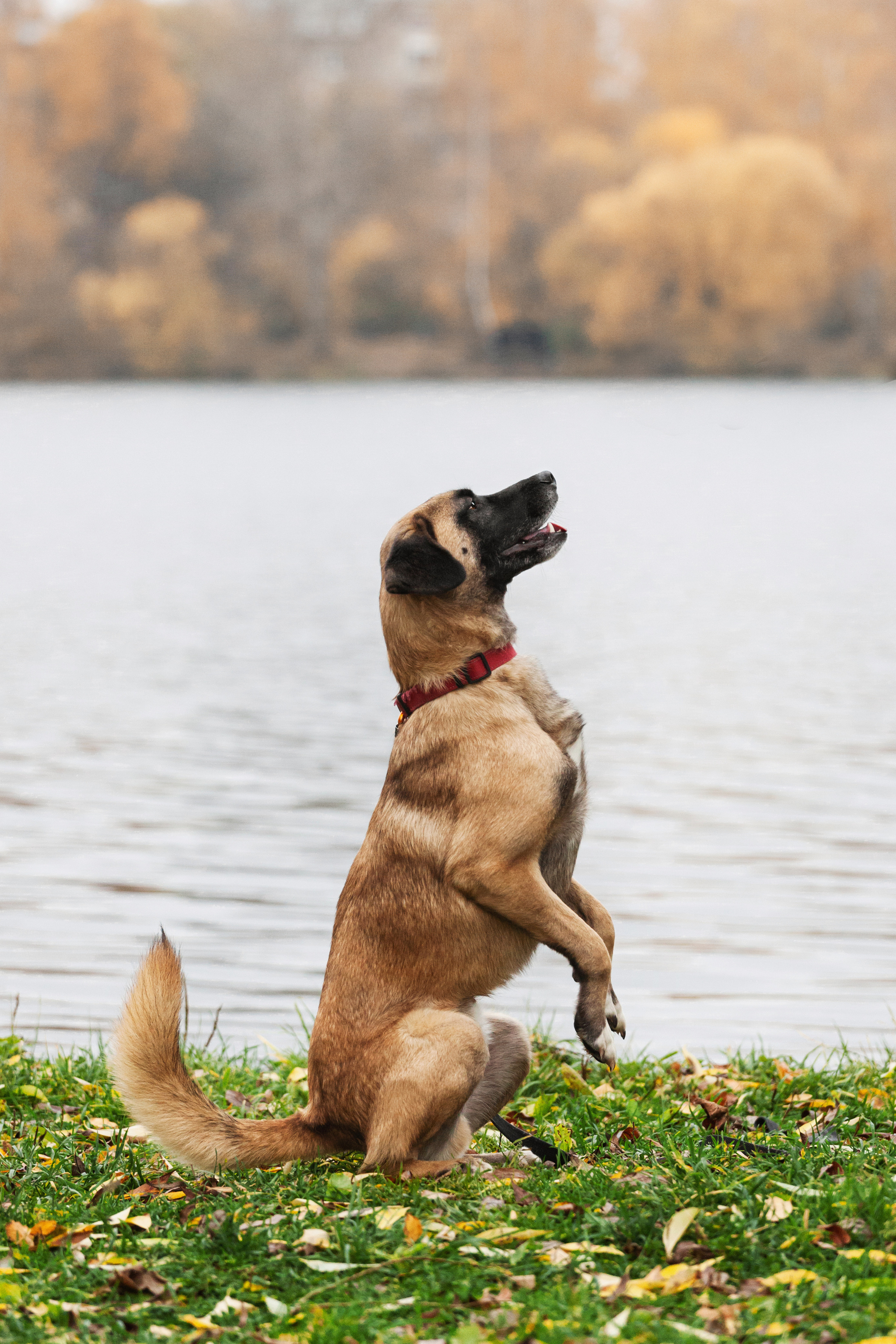 Фучик 2022. Фотограф-анималист Татьяна Степанова