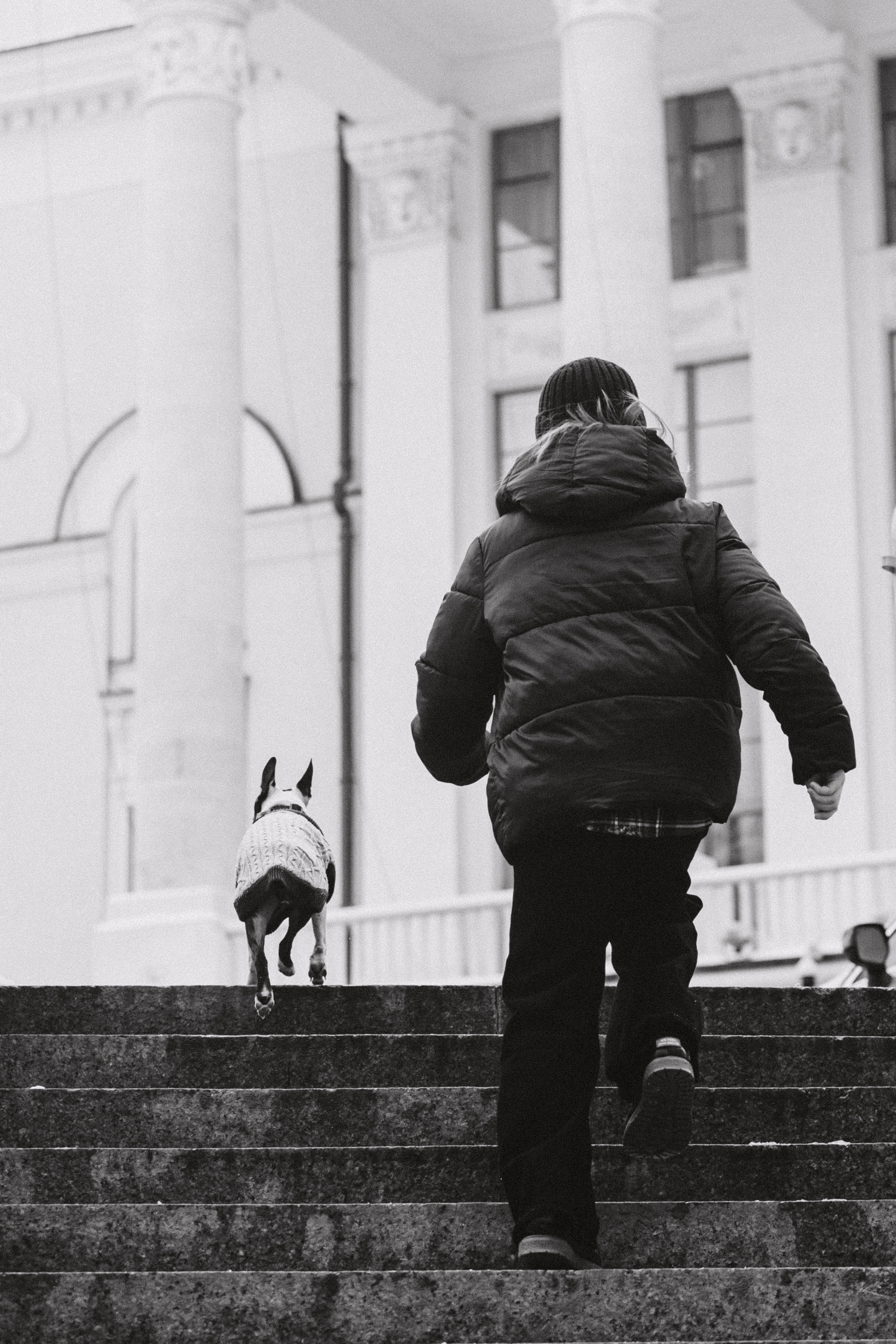 Василиса и Мира Кузнецкий мост. Фотограф-анималист Татьяна Степанова