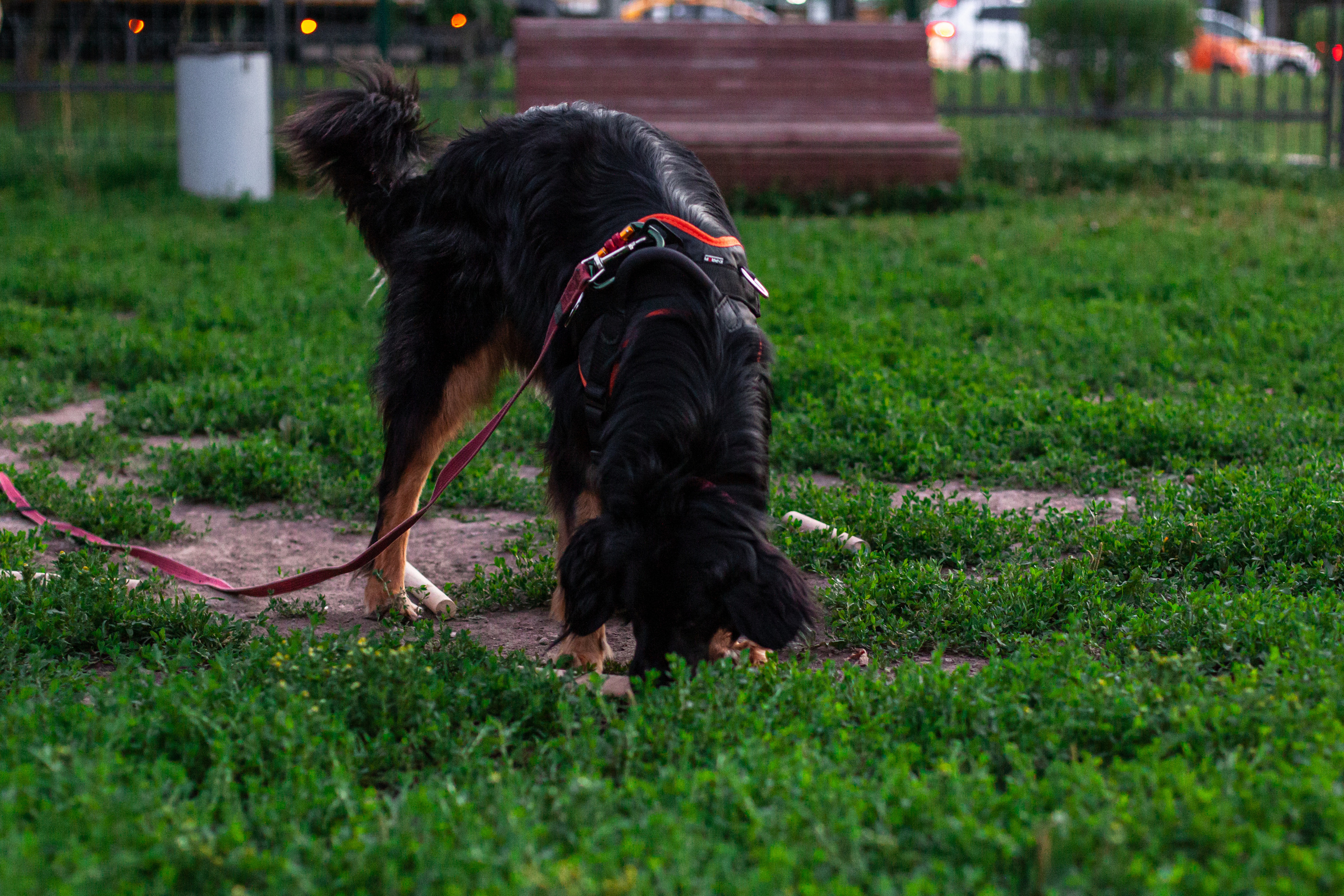 Занятие ЗКС+Выборка 2022. Фотограф-анималист Татьяна Степанова