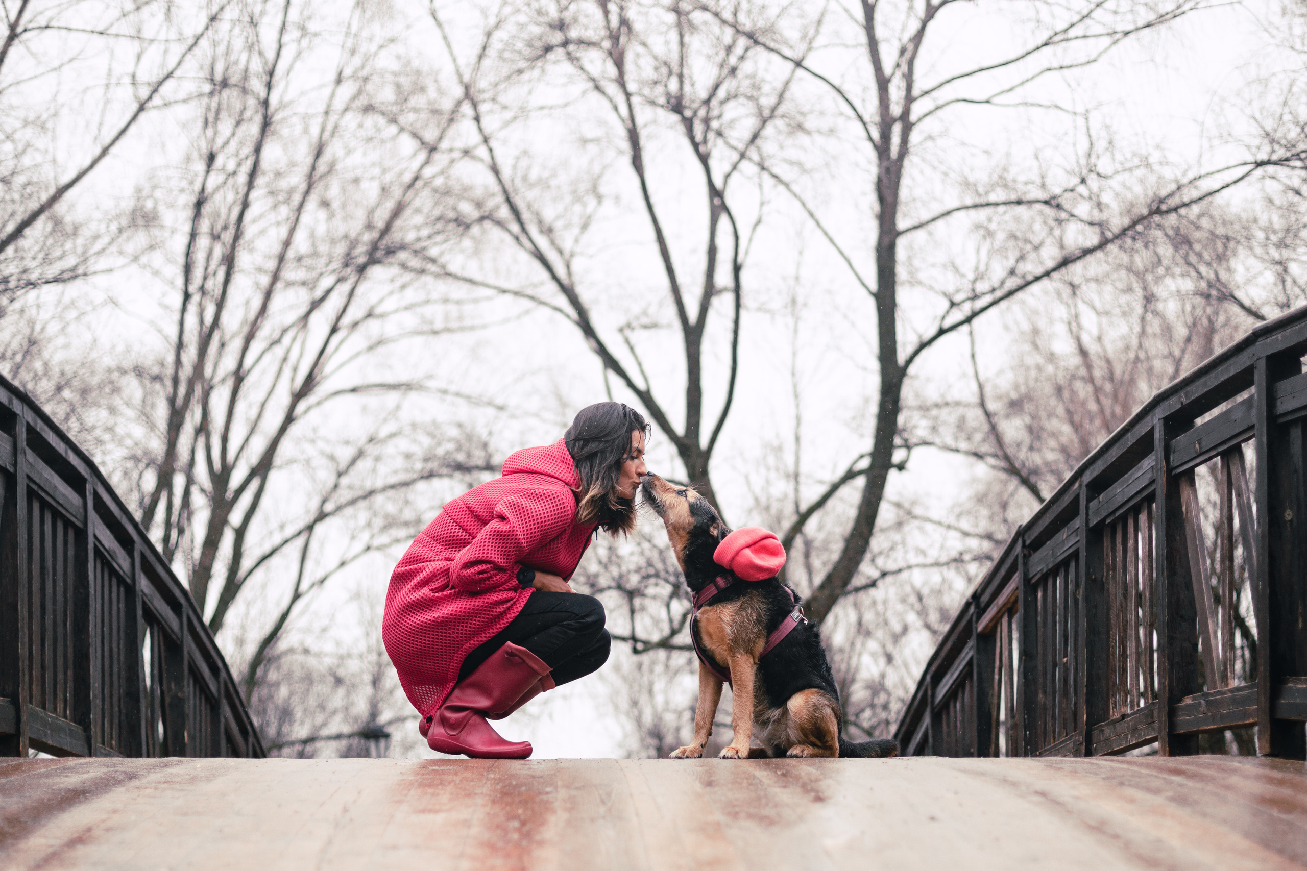 Лиза и Бренда. Фотограф-анималист Татьяна Степанова