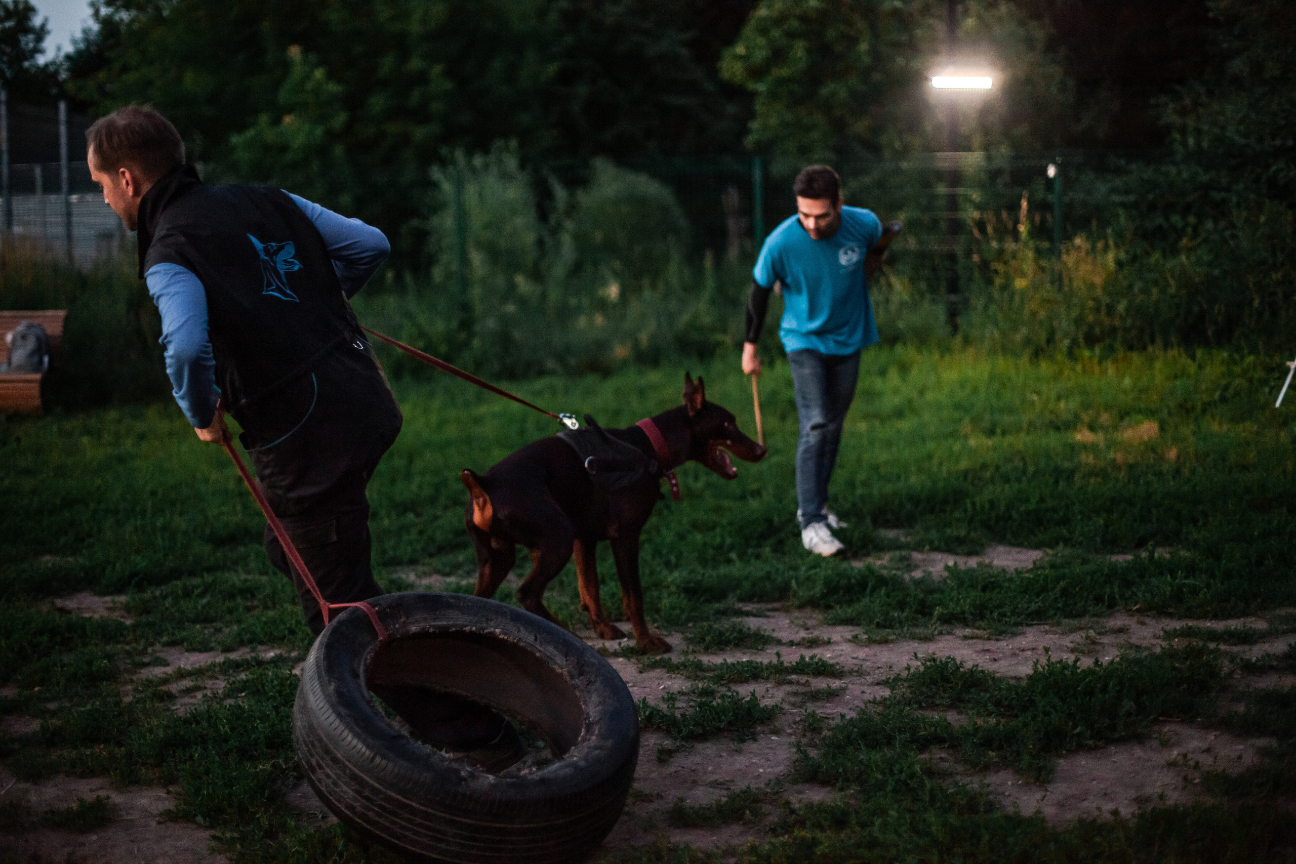 Занятие ЗКС+Выборка 2022. Фотограф-анималист Татьяна Степанова