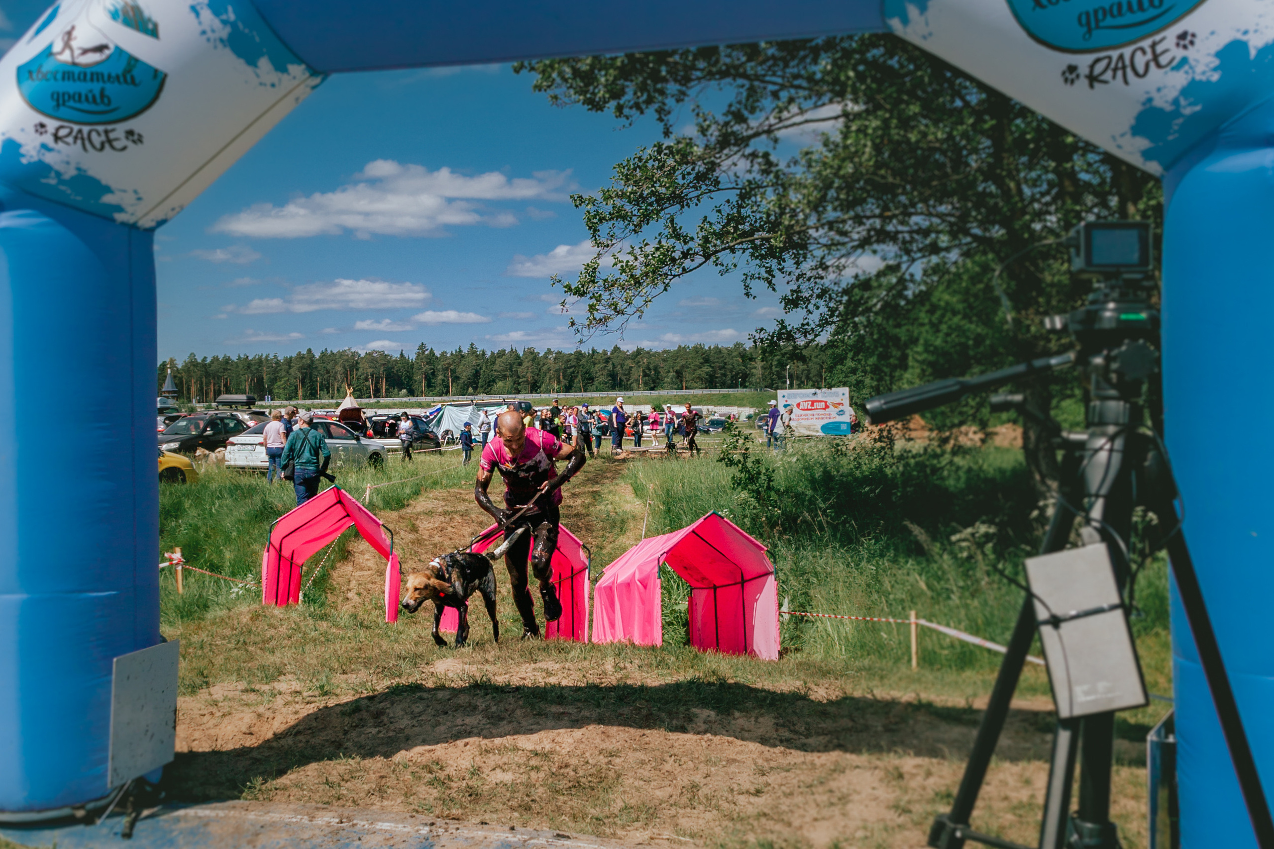 Хвостатый Драйв 11.06.2023. Фотограф-анималист Татьяна Степанова