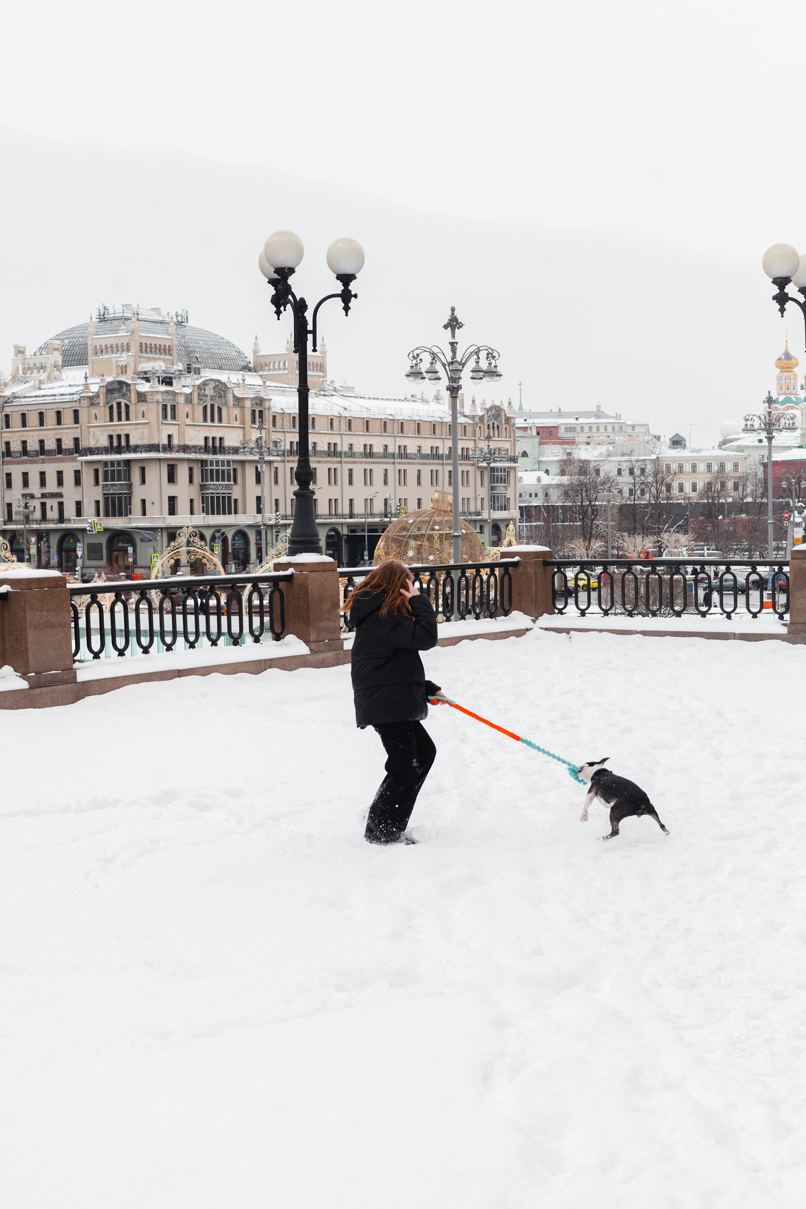 Василиса и Мира Кузнецкий мост. Фотограф-анималист Татьяна Степанова