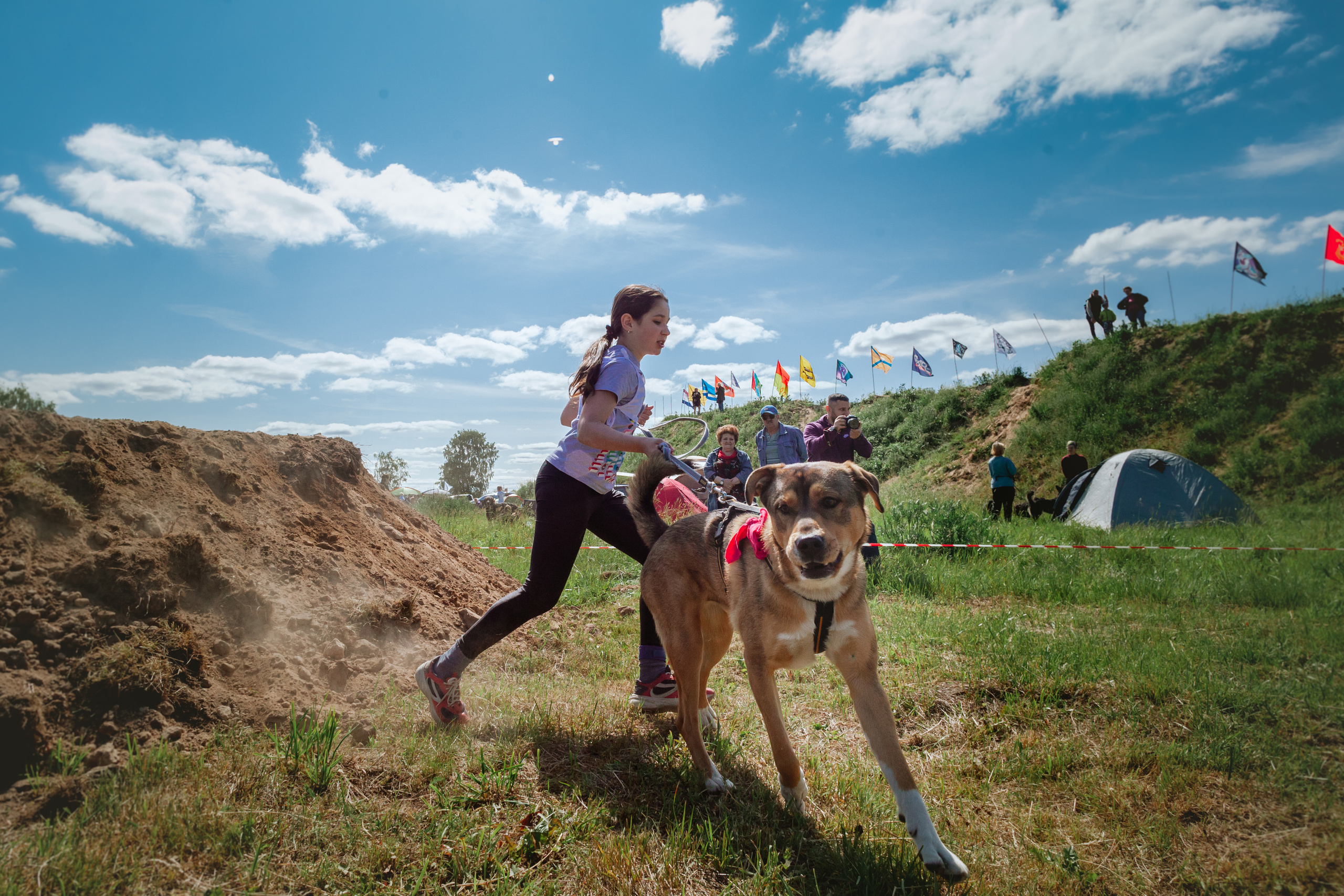 Хвостатый Драйв 11.06.2023. Фотограф-анималист Татьяна Степанова