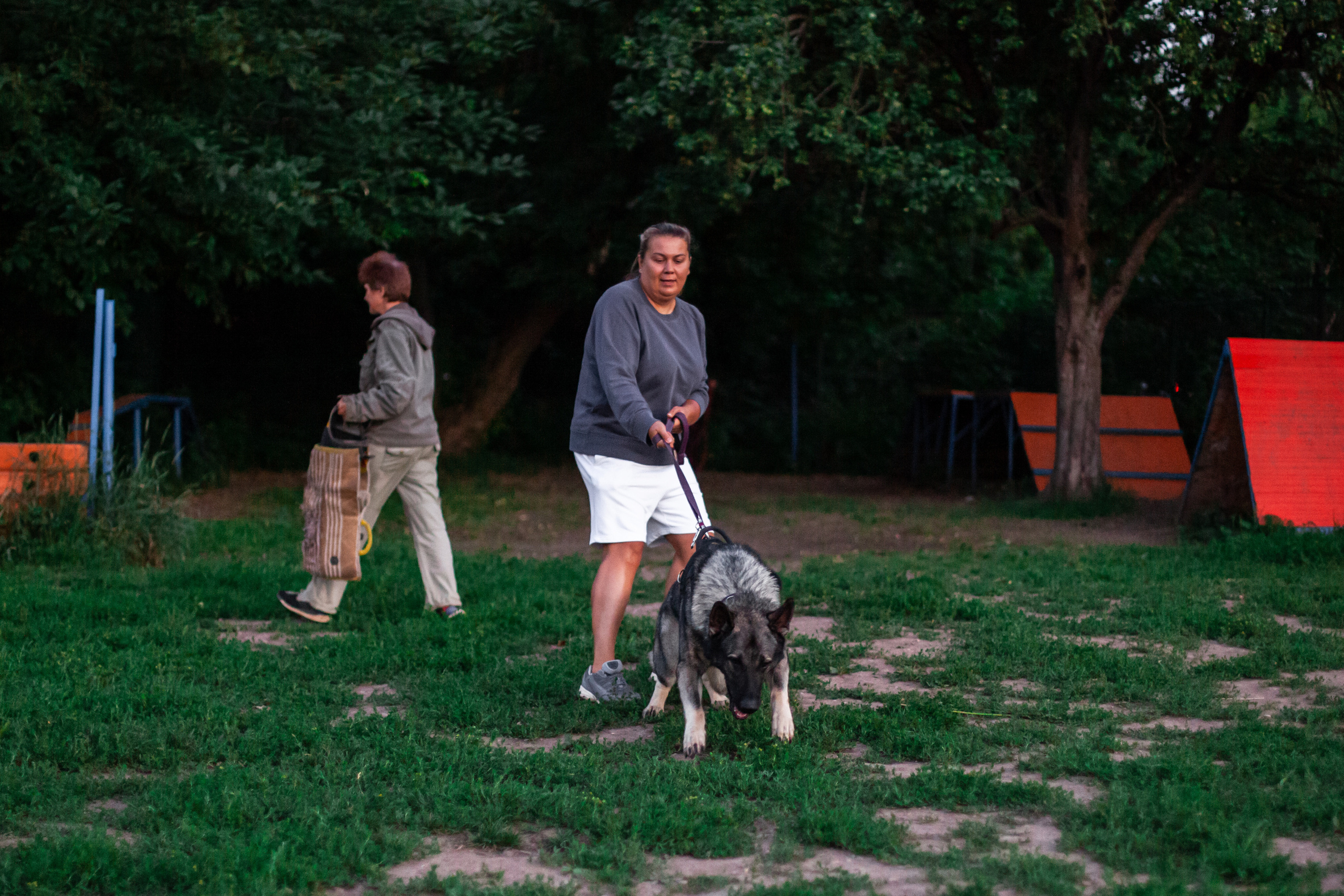 Занятие ЗКС+Выборка 2022. Фотограф-анималист Татьяна Степанова