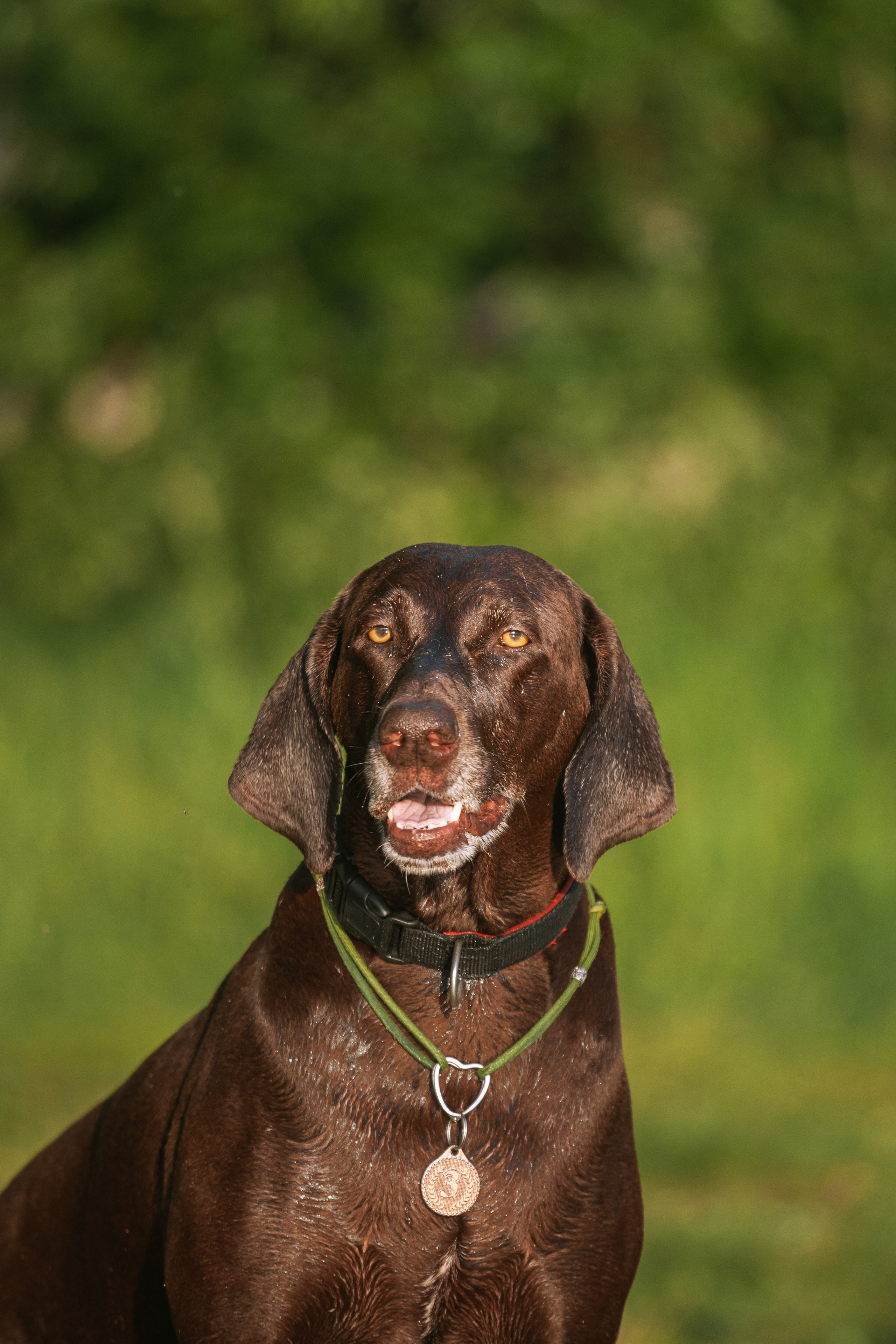 Рассветная съемка в ПКИО Северное Тушино. Фотограф-анималист Татьяна Степанова