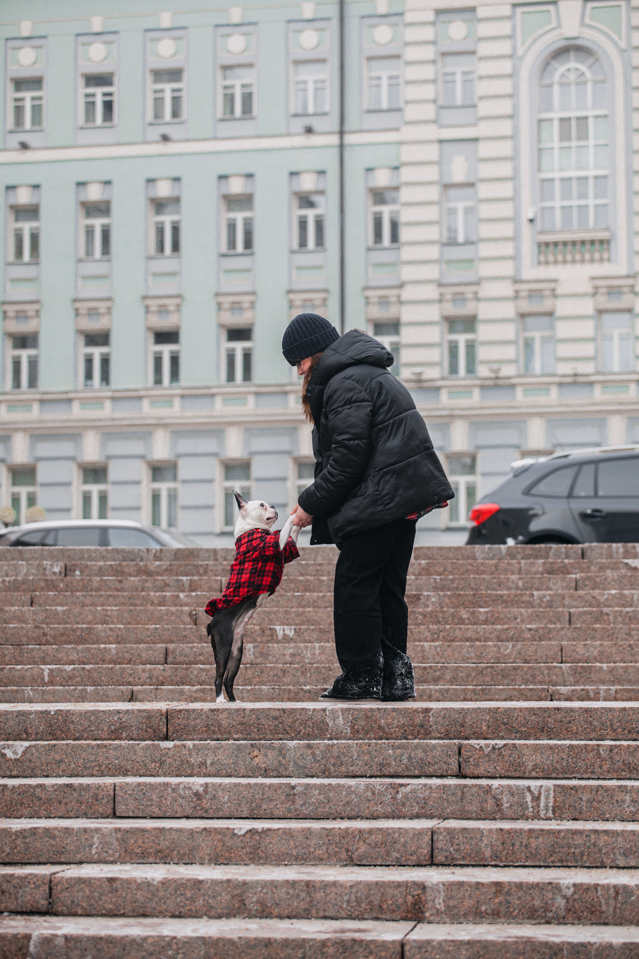 Василиса и Мира Кузнецкий мост. Фотограф-анималист Татьяна Степанова