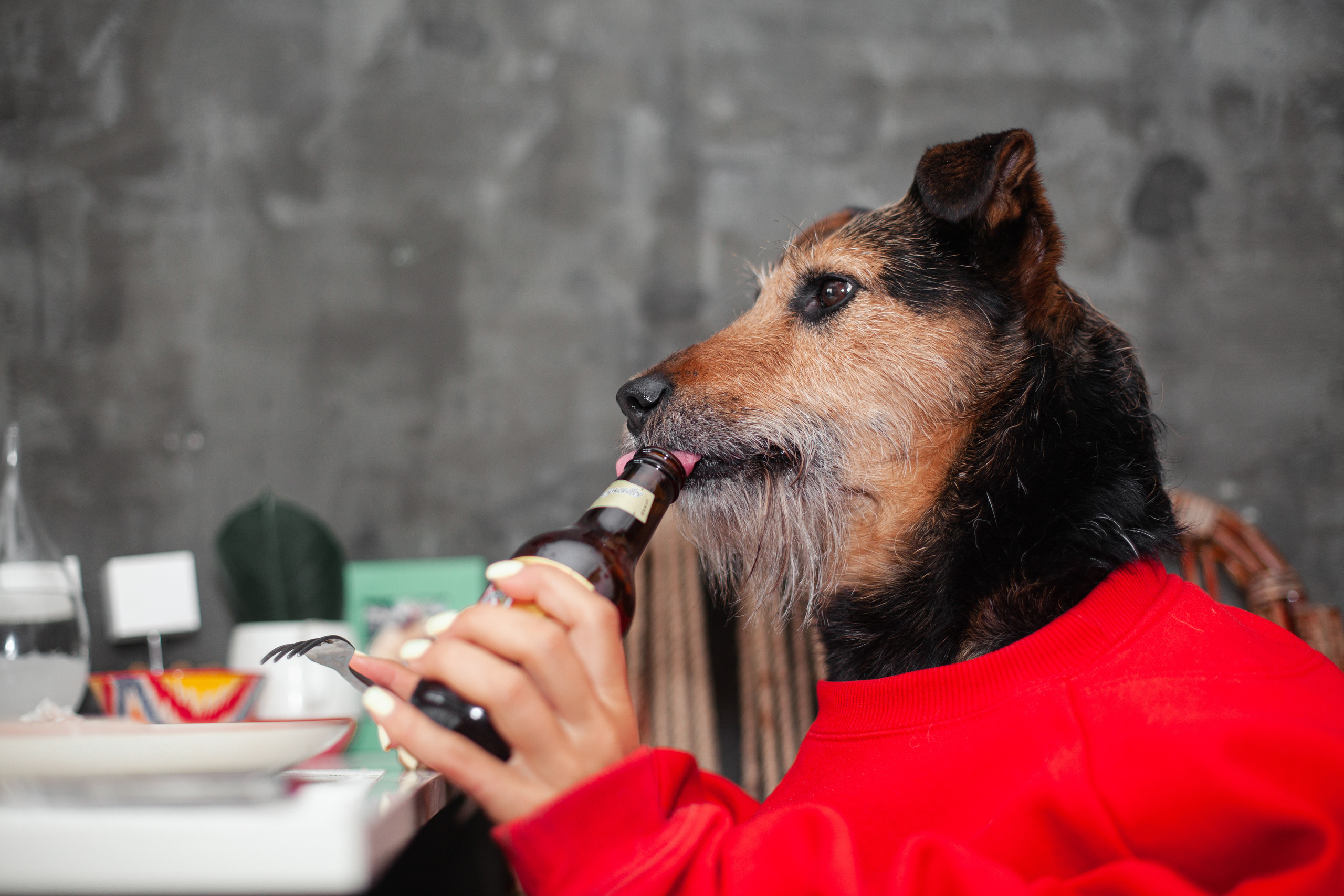 Лиза и Бренда. Фотограф-анималист Татьяна Степанова