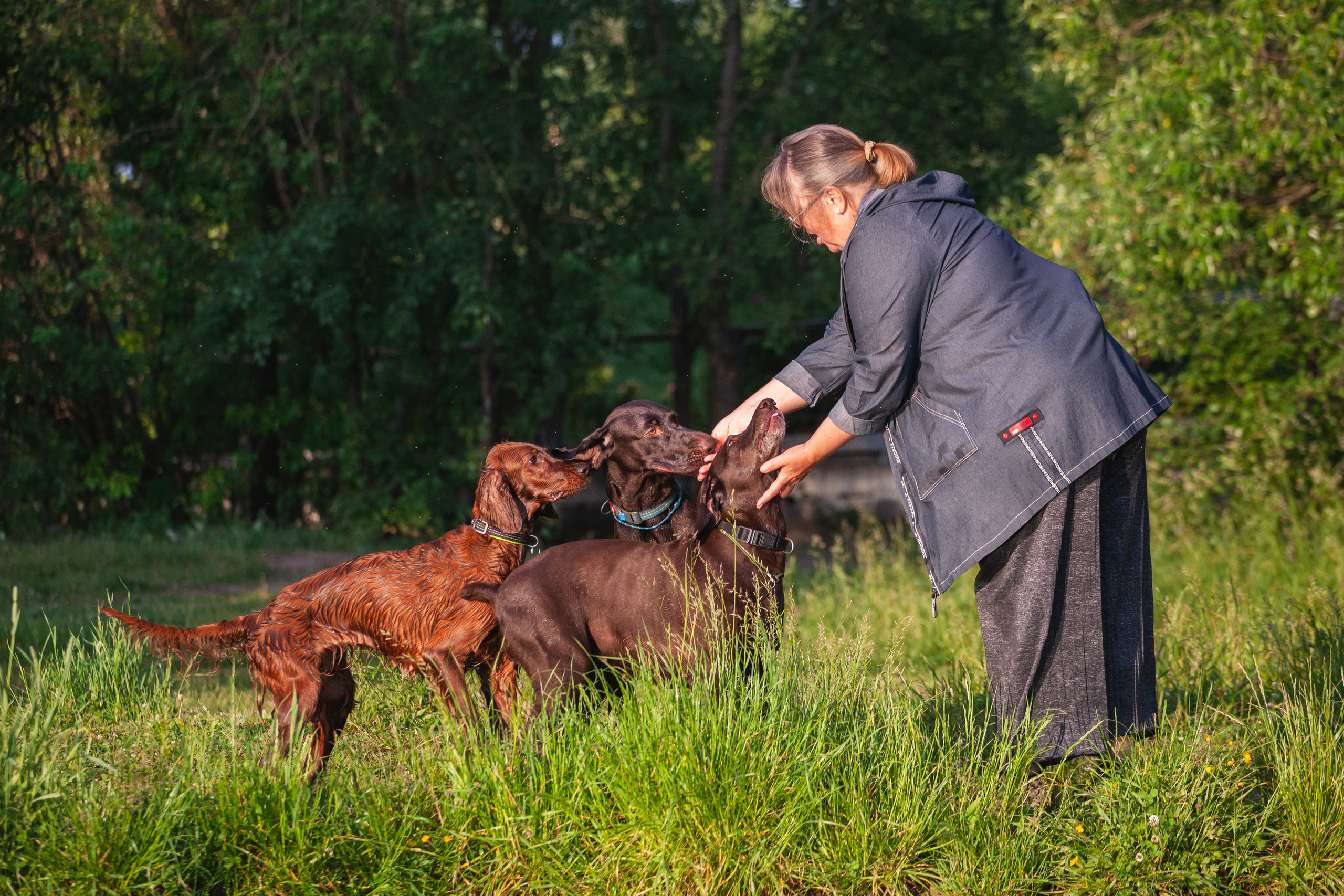Рассветная съемка в ПКИО Северное Тушино. Фотограф-анималист Татьяна Степанова