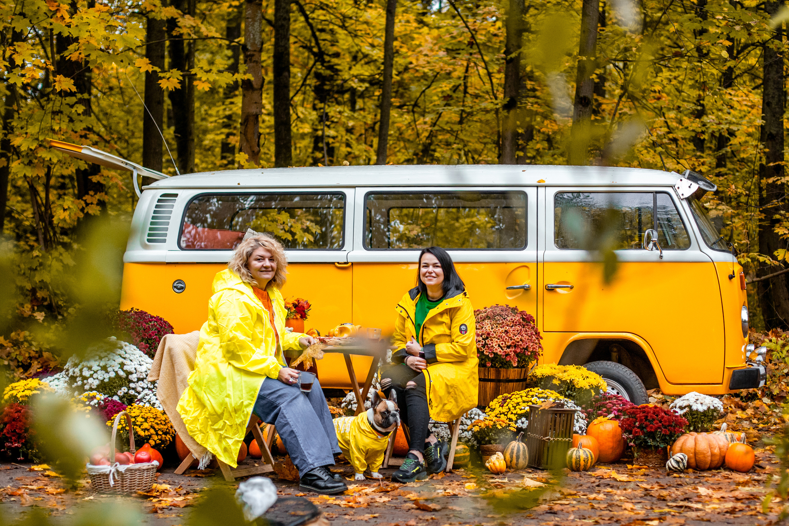 Съемка с ретро автобусом. Фотограф-анималист Татьяна Степанова