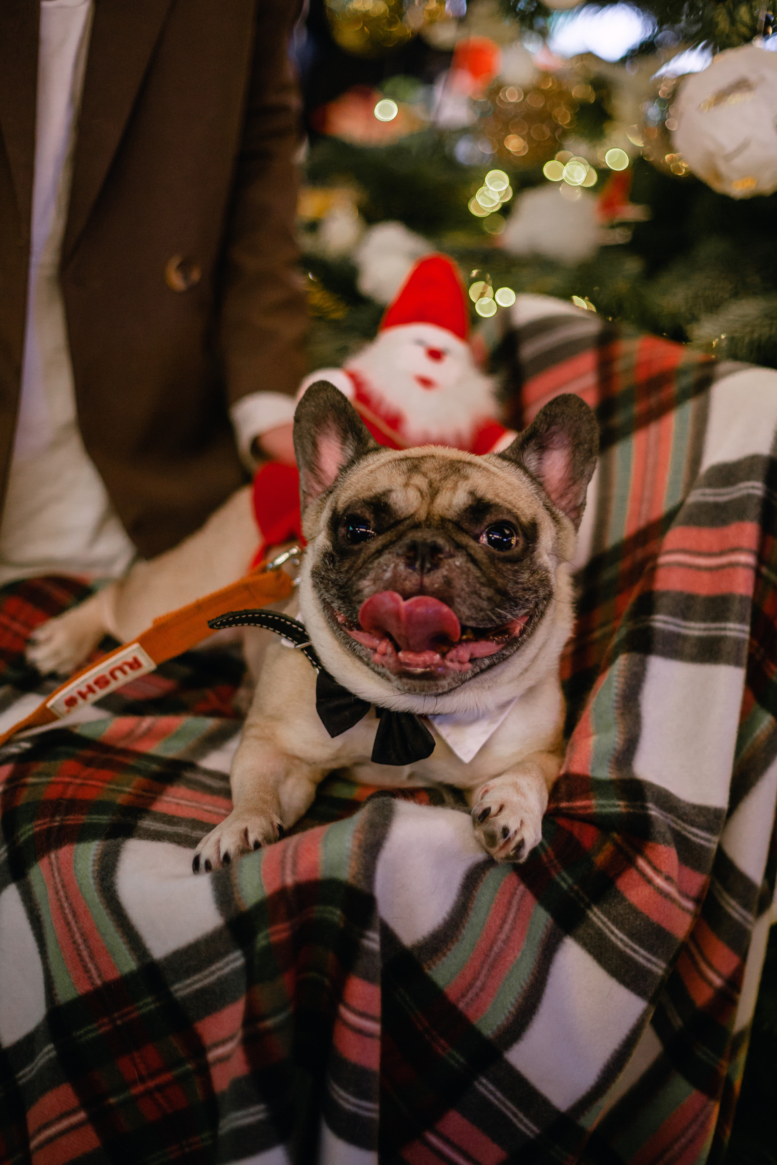 Бульелка 2022. Фотограф-анималист Татьяна Степанова