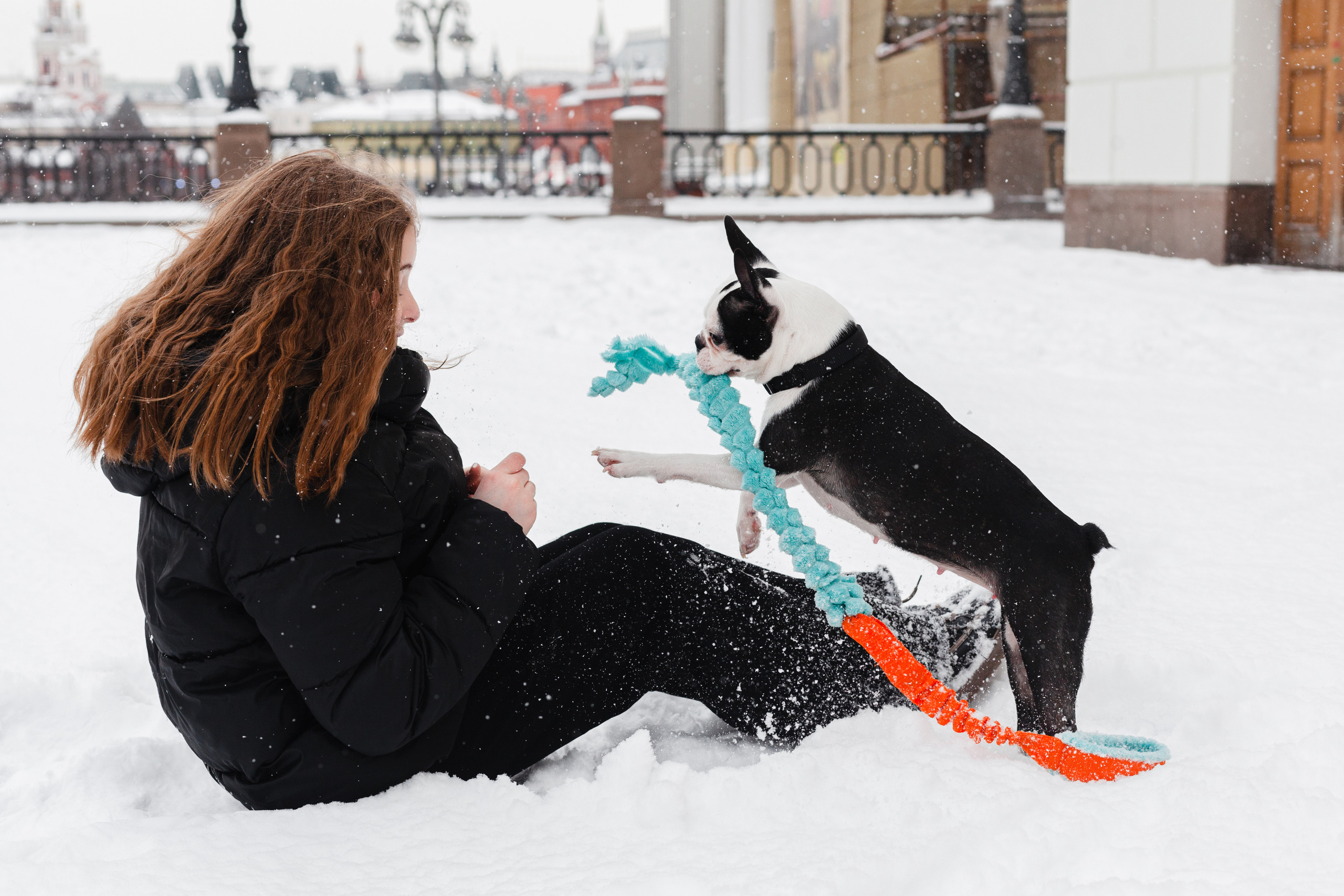 Василиса и Мира Кузнецкий мост. Фотограф-анималист Татьяна Степанова