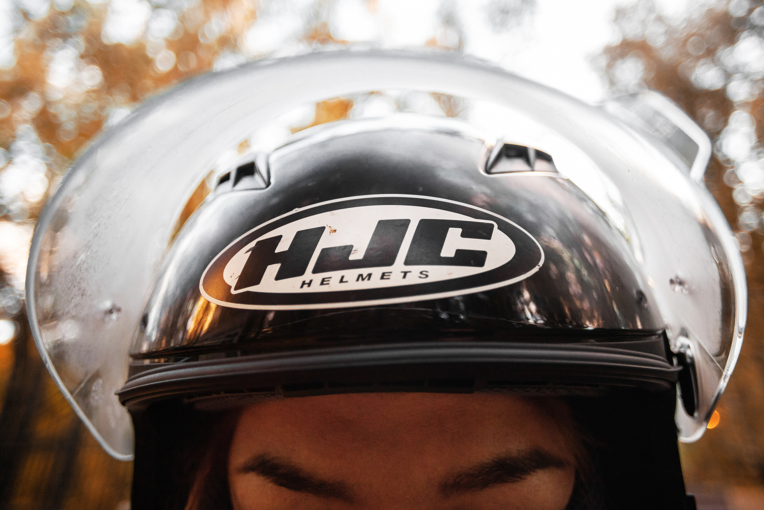 Кристина и Олег в Алешкинском лесопарке. Фотограф-анималист Татьяна Степанова