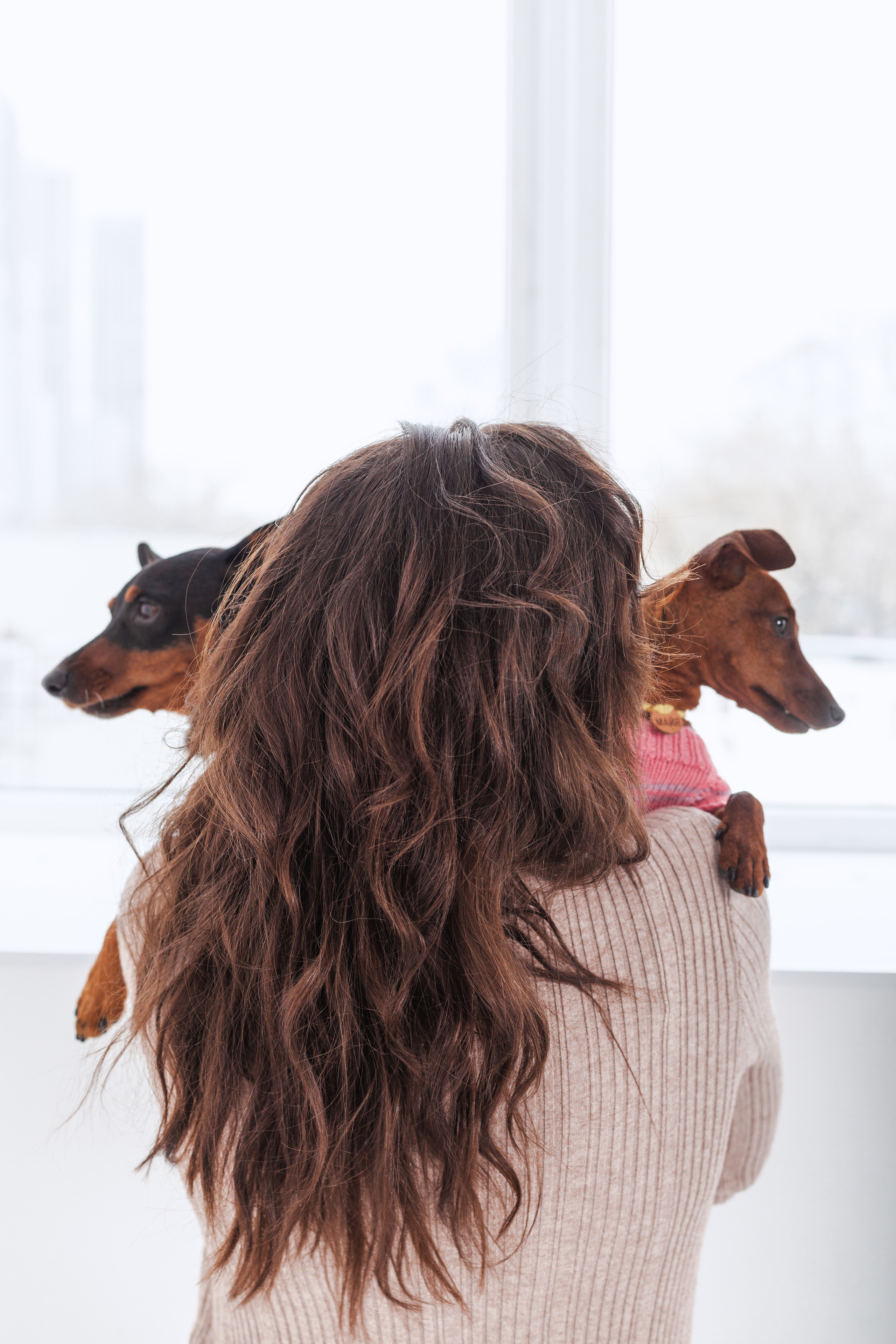 Александра и пинчеры Майя и Джой. Фотограф-анималист Татьяна Степанова