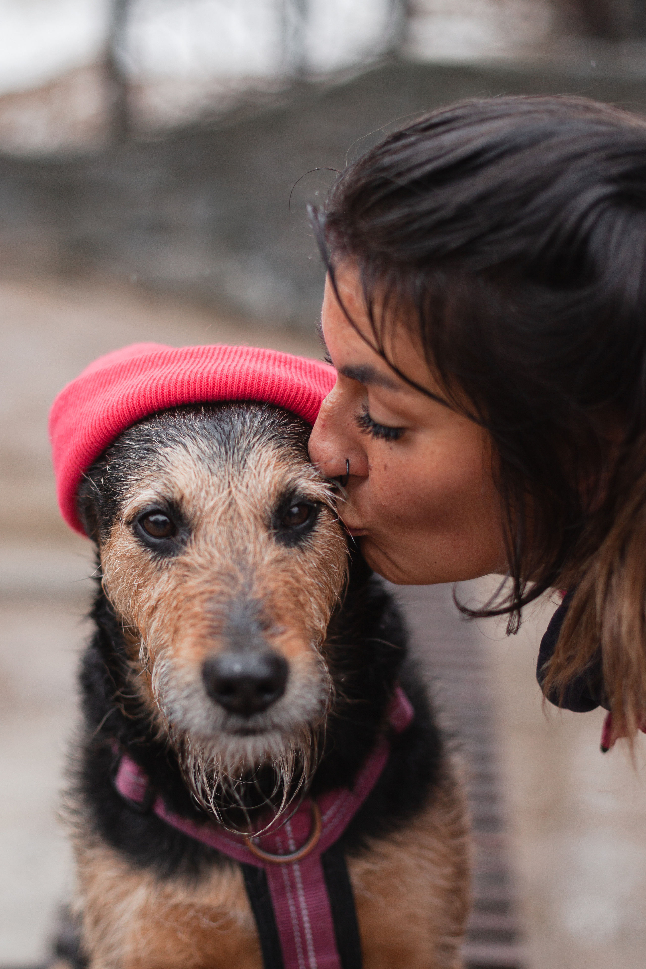 Лиза и Бренда. Фотограф-анималист Татьяна Степанова