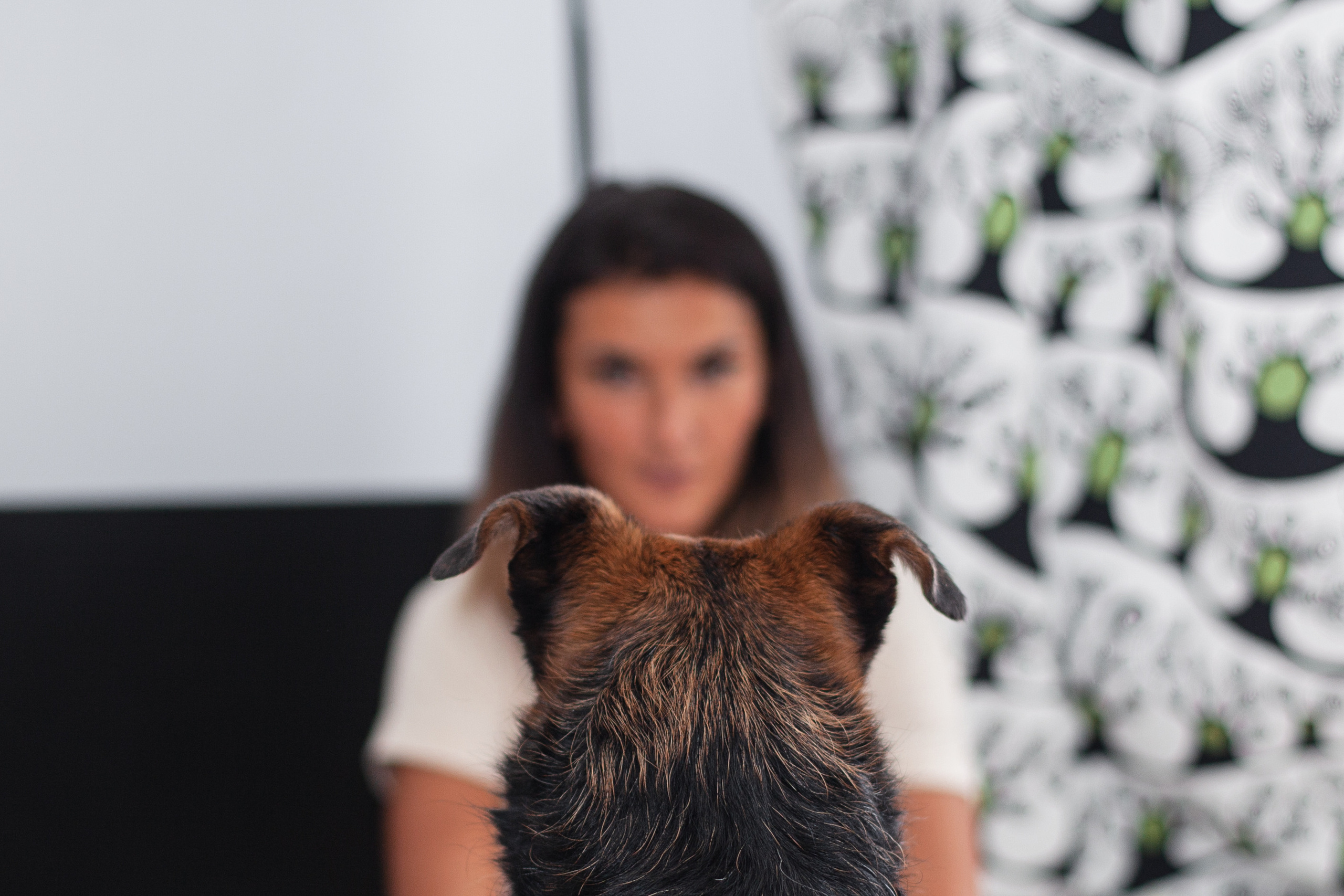 Лиза и Бренда. Фотограф-анималист Татьяна Степанова