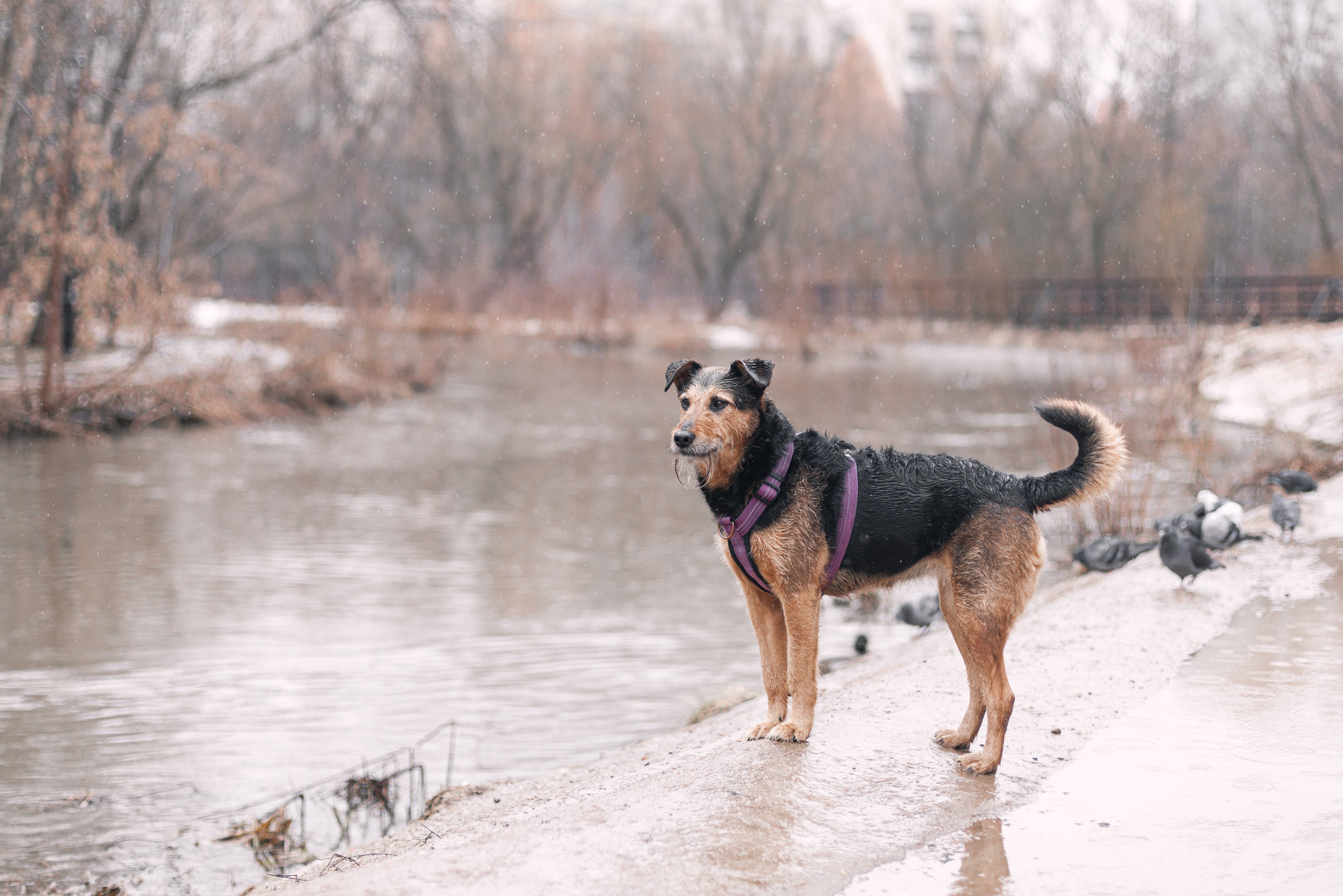 Лиза и Бренда. Фотограф-анималист Татьяна Степанова