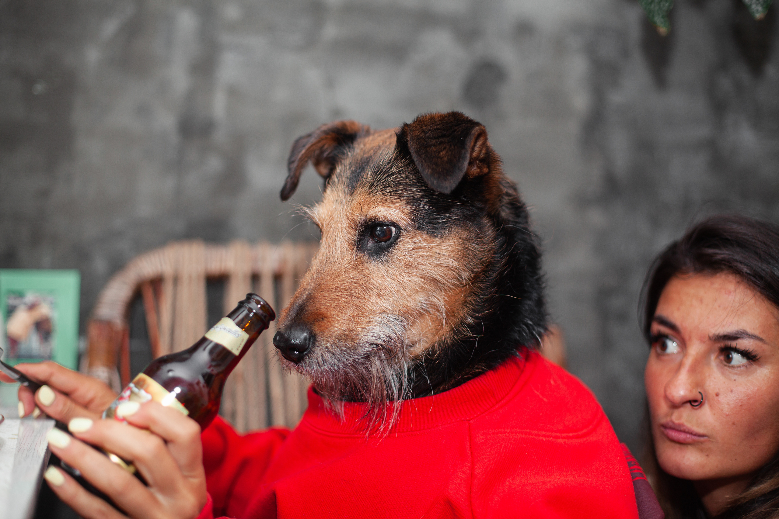 Фотограф-анималист Татьяна Степанова