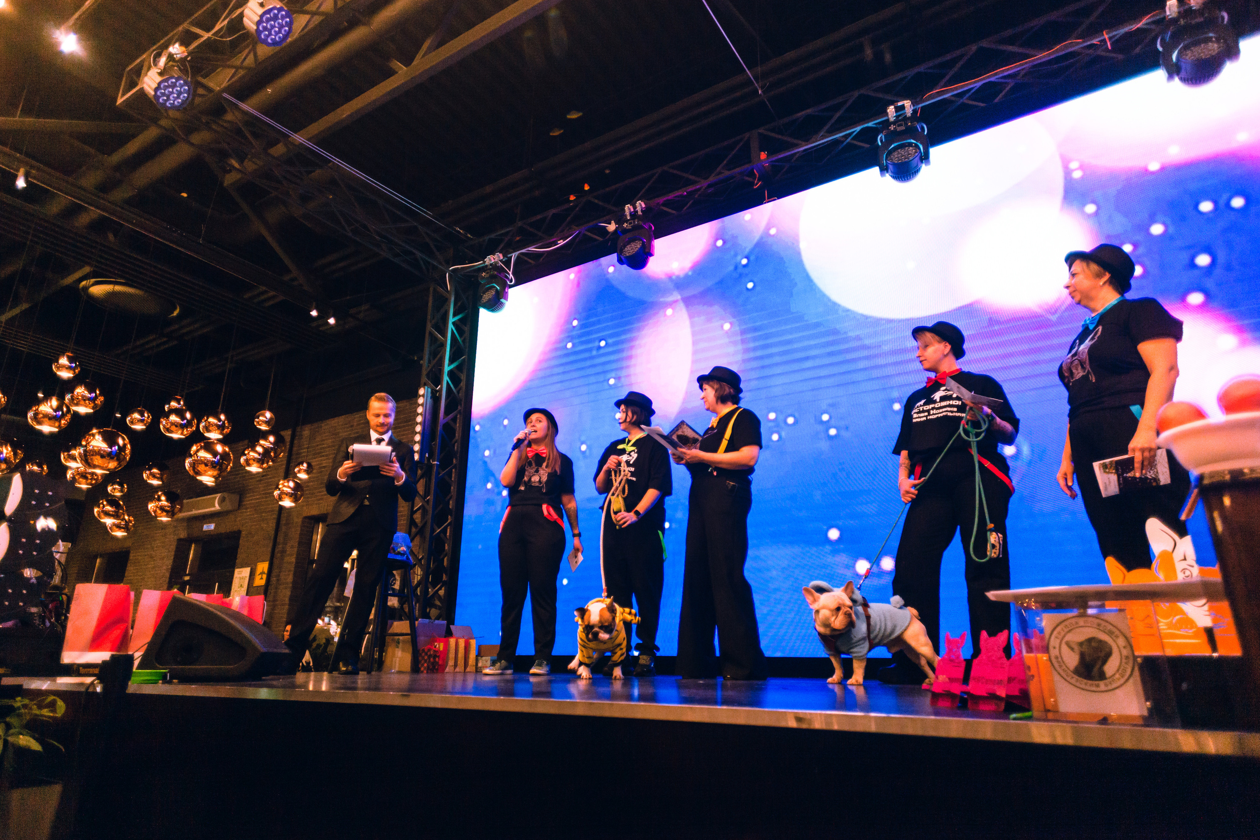 Бульелка 2022. Фотограф-анималист Татьяна Степанова