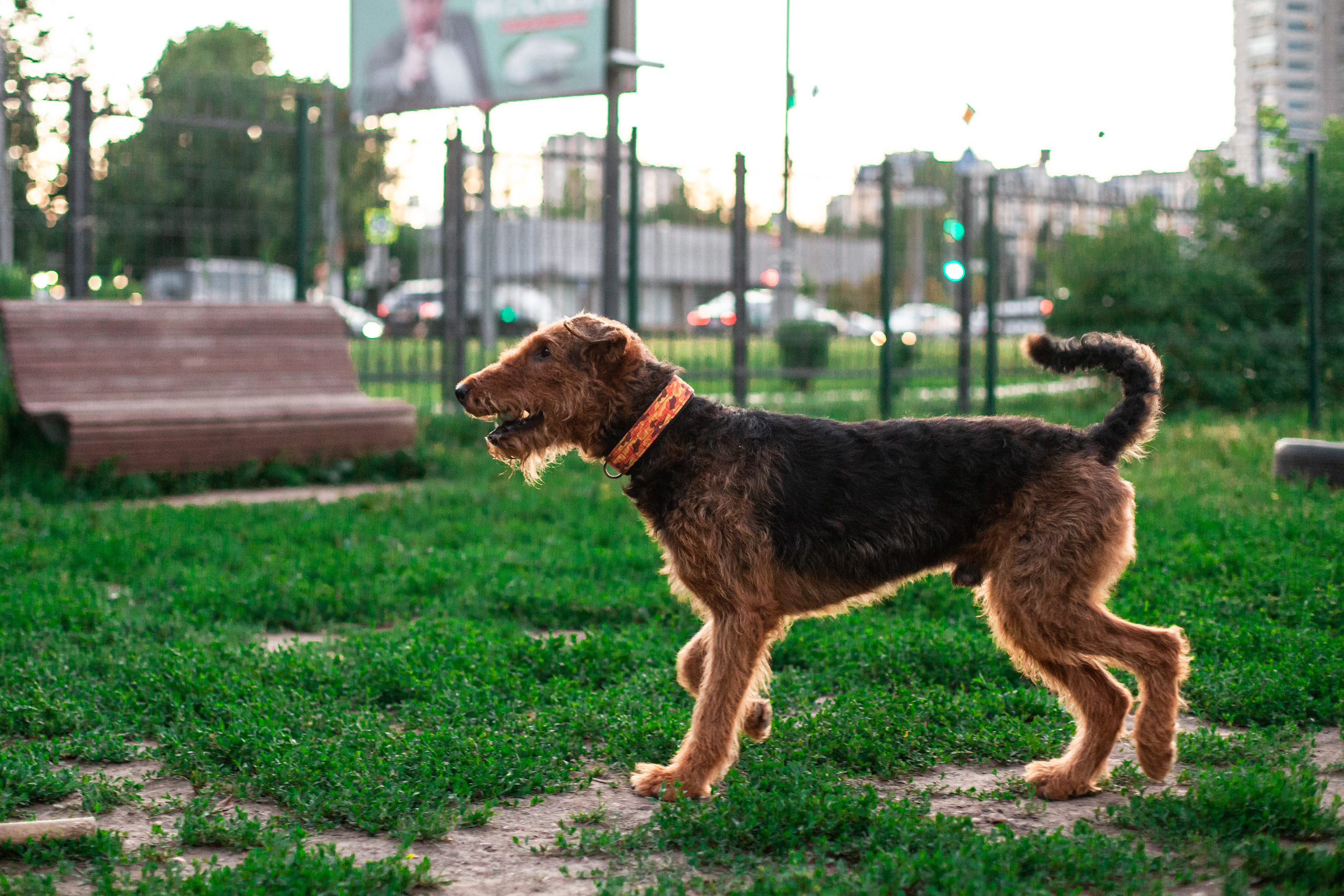 Занятие ЗКС+Выборка 2022. Фотограф-анималист Татьяна Степанова