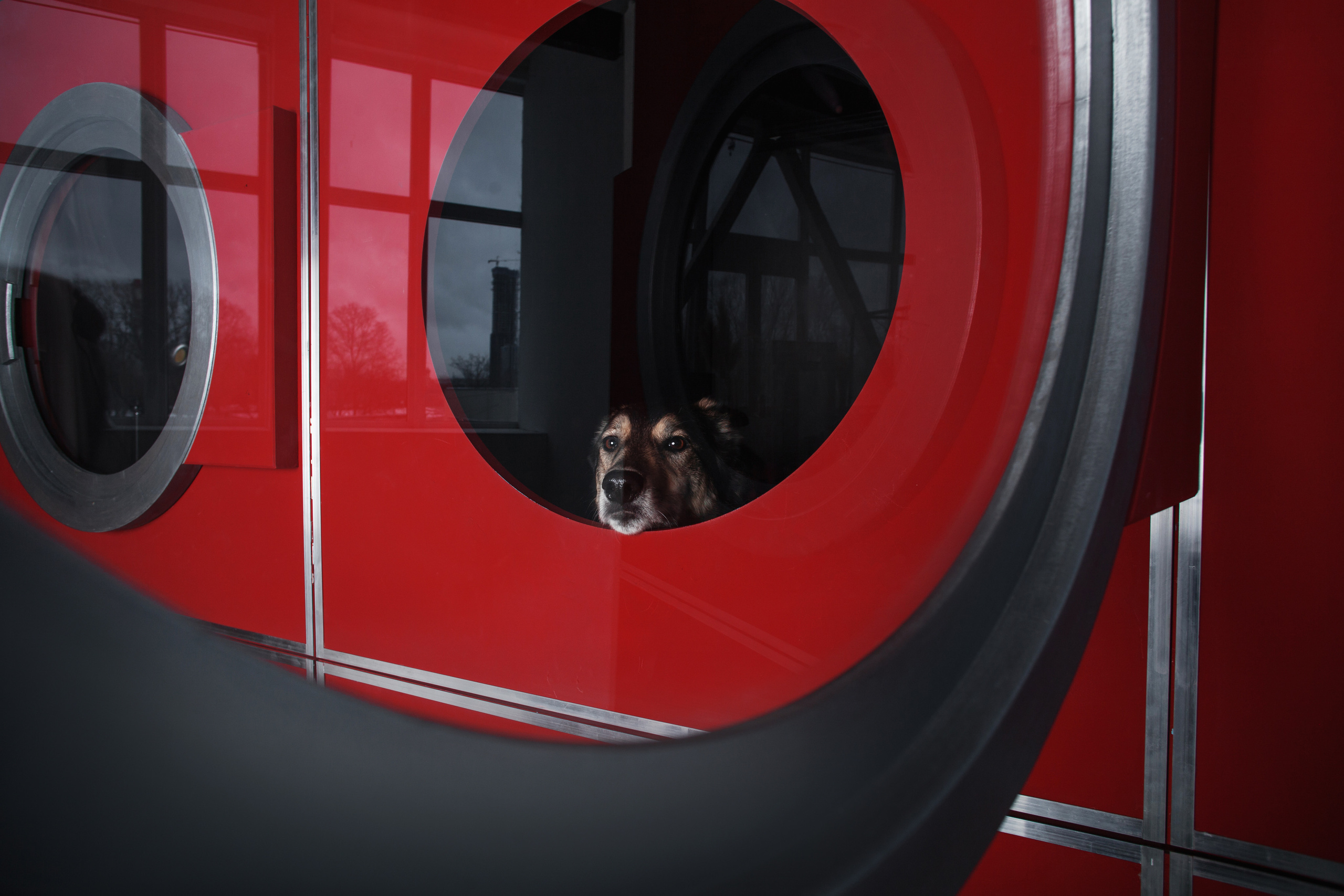 Света и Богдана. Фотограф-анималист Татьяна Степанова