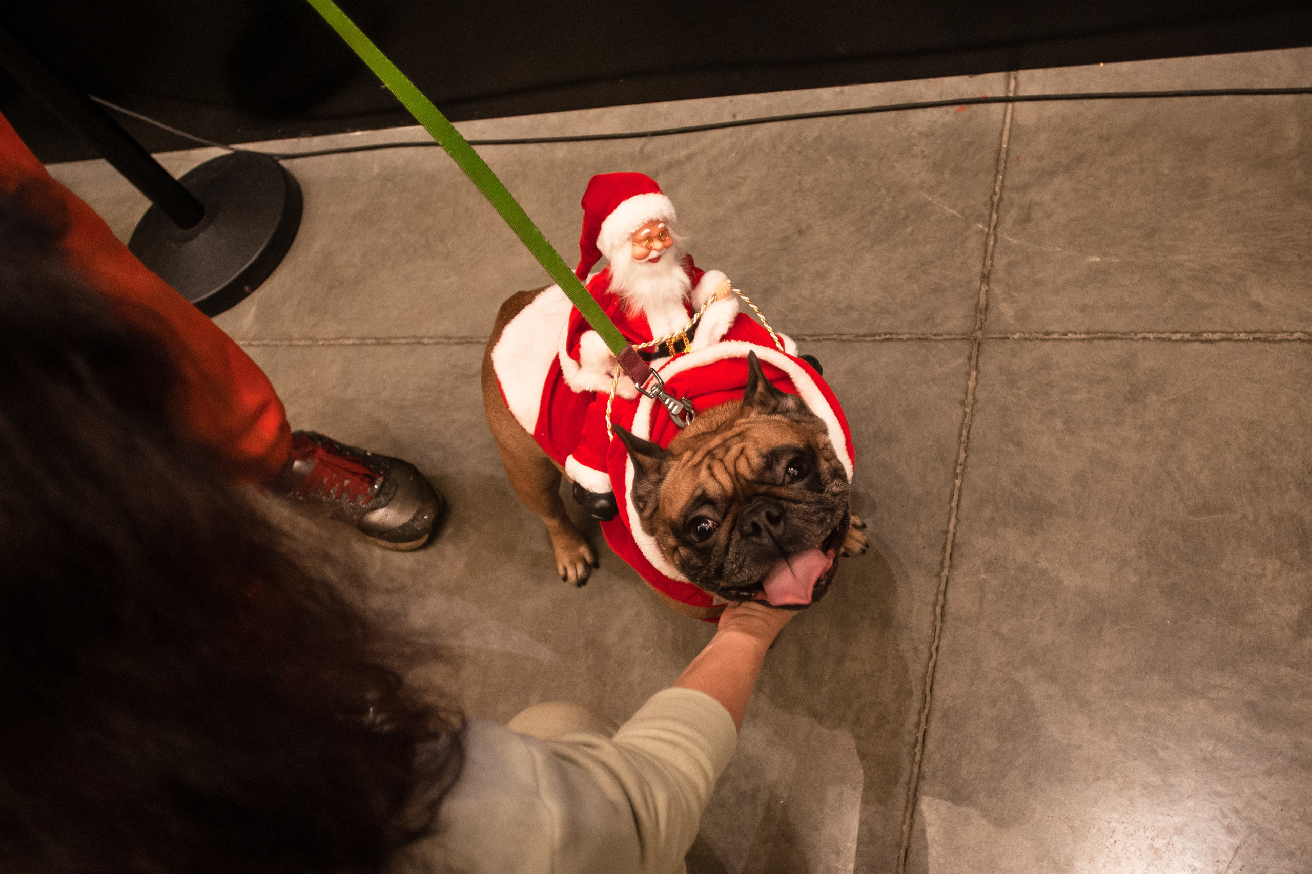 Бульелка 2022. Фотограф-анималист Татьяна Степанова