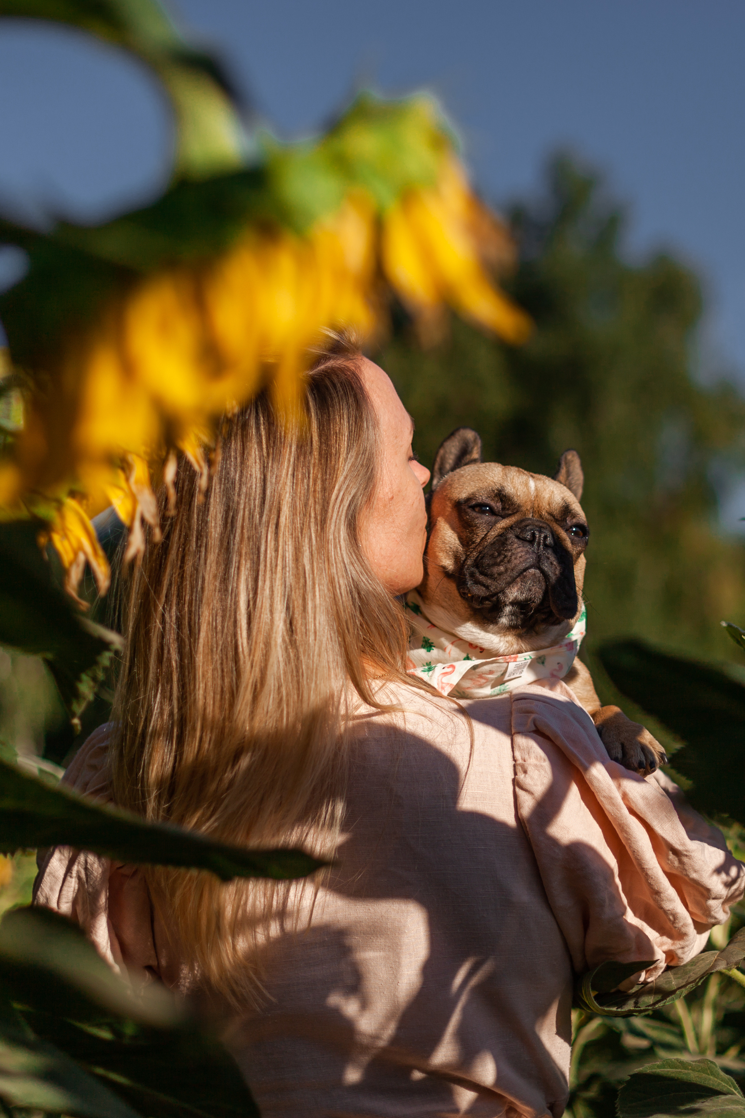 Коломна, стога и подсолнухи. Фотограф-анималист Татьяна Степанова