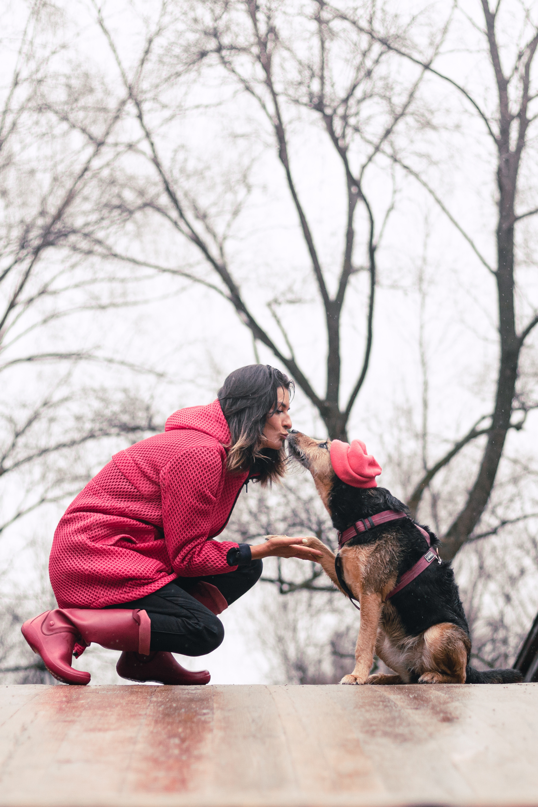 Лиза и Бренда. Фотограф-анималист Татьяна Степанова