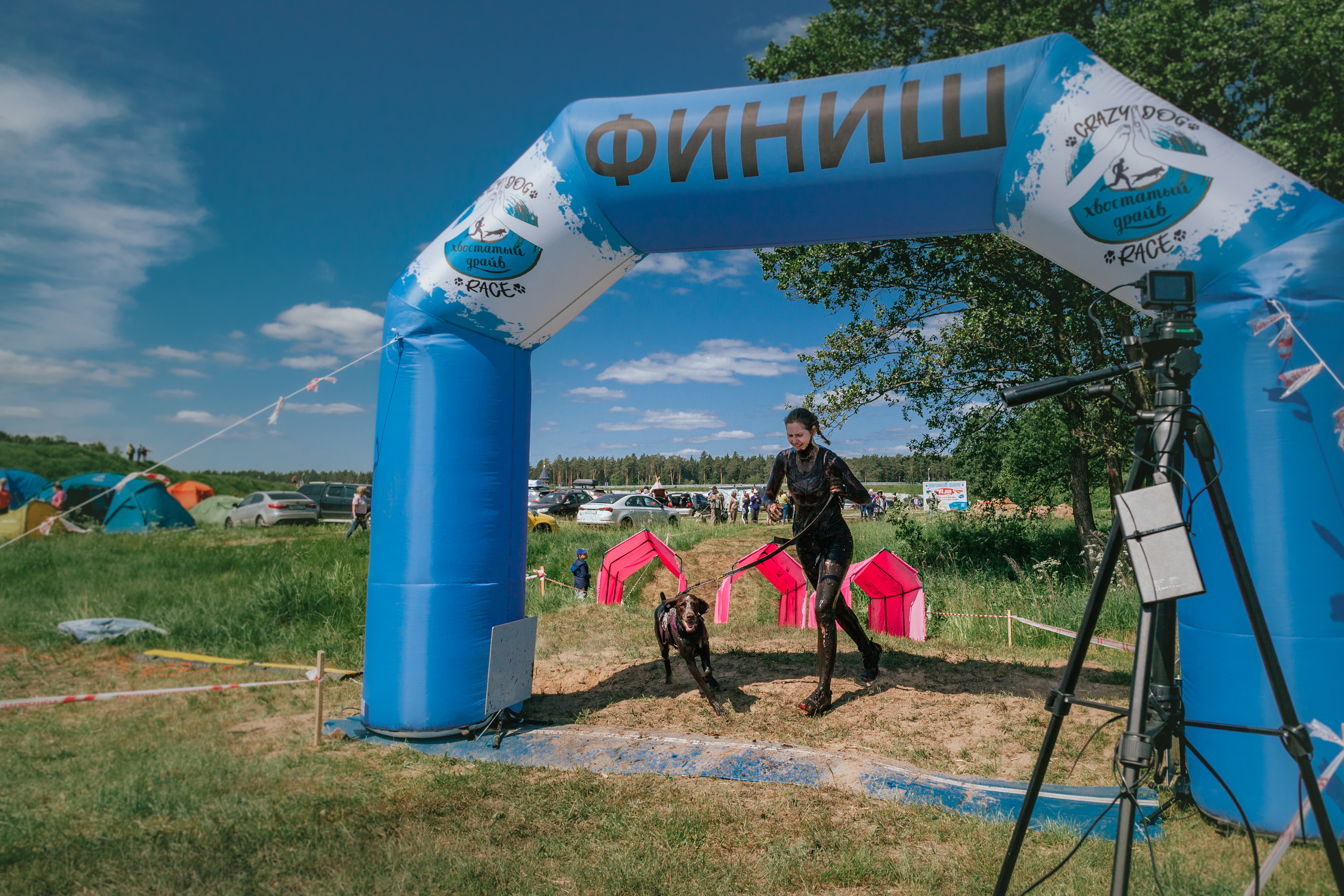 Хвостатый Драйв 11.06.2023. Фотограф-анималист Татьяна Степанова
