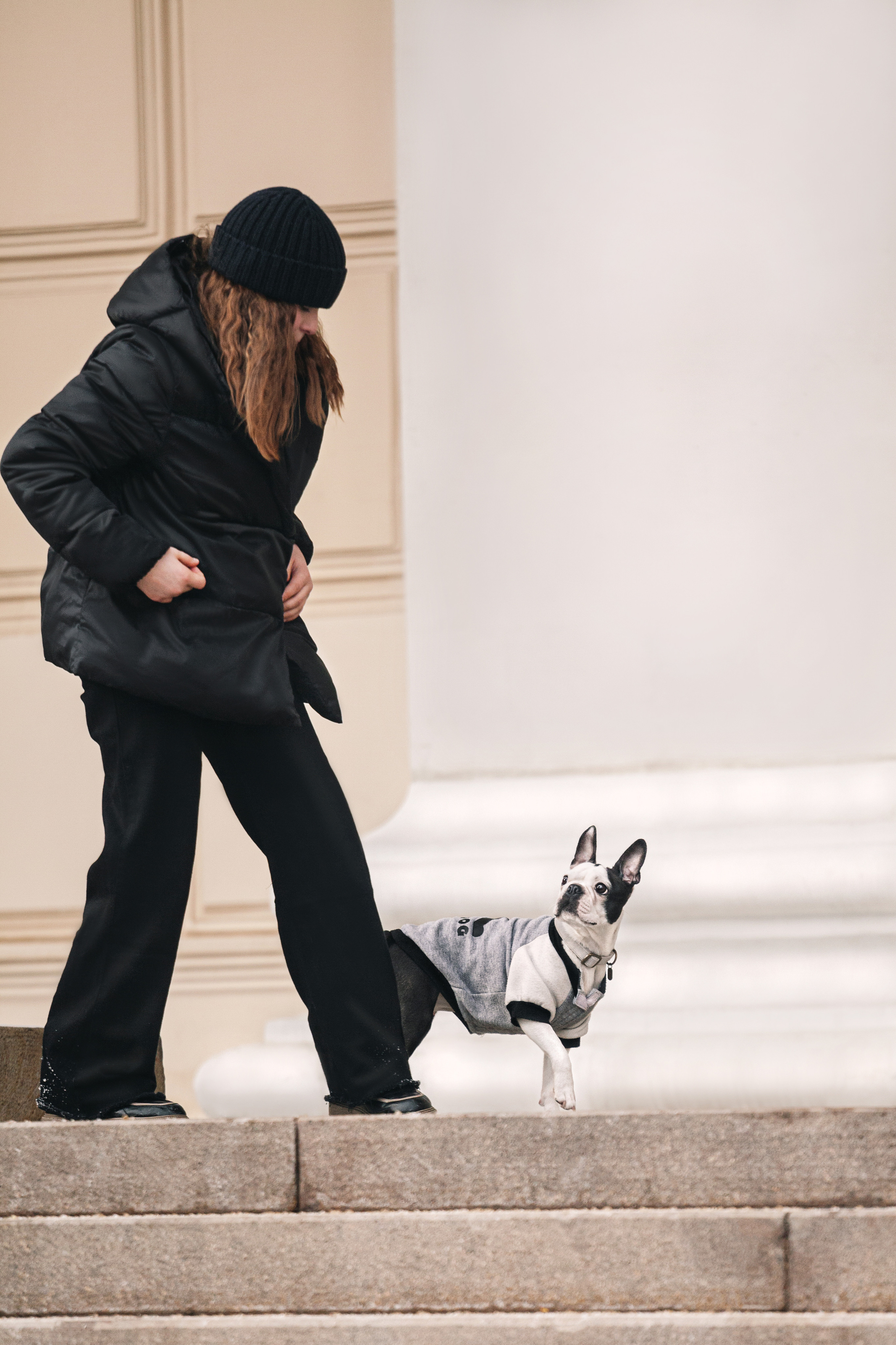 Василиса и Мира Кузнецкий мост. Фотограф-анималист Татьяна Степанова