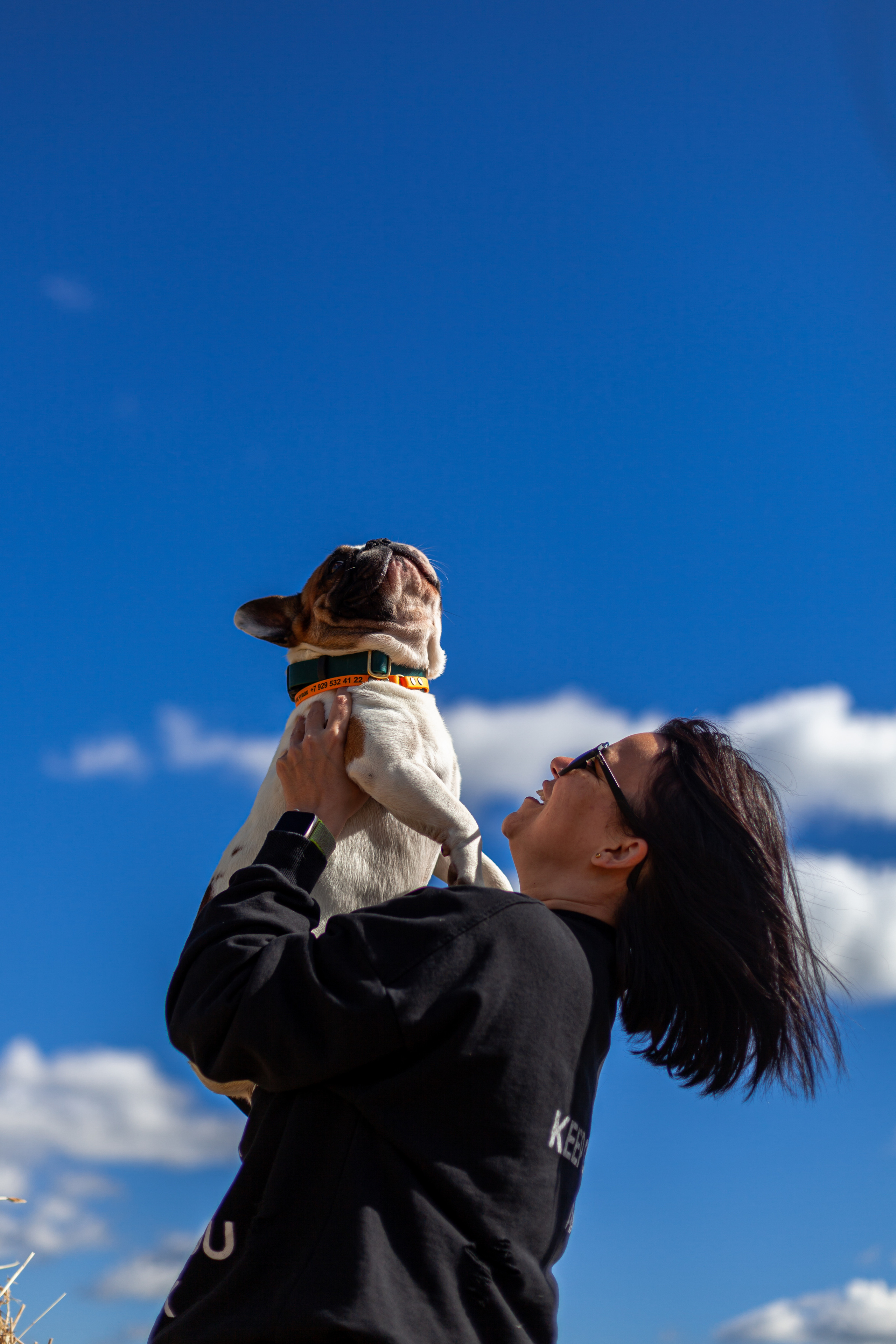 Коломна, стога и подсолнухи. Фотограф-анималист Татьяна Степанова