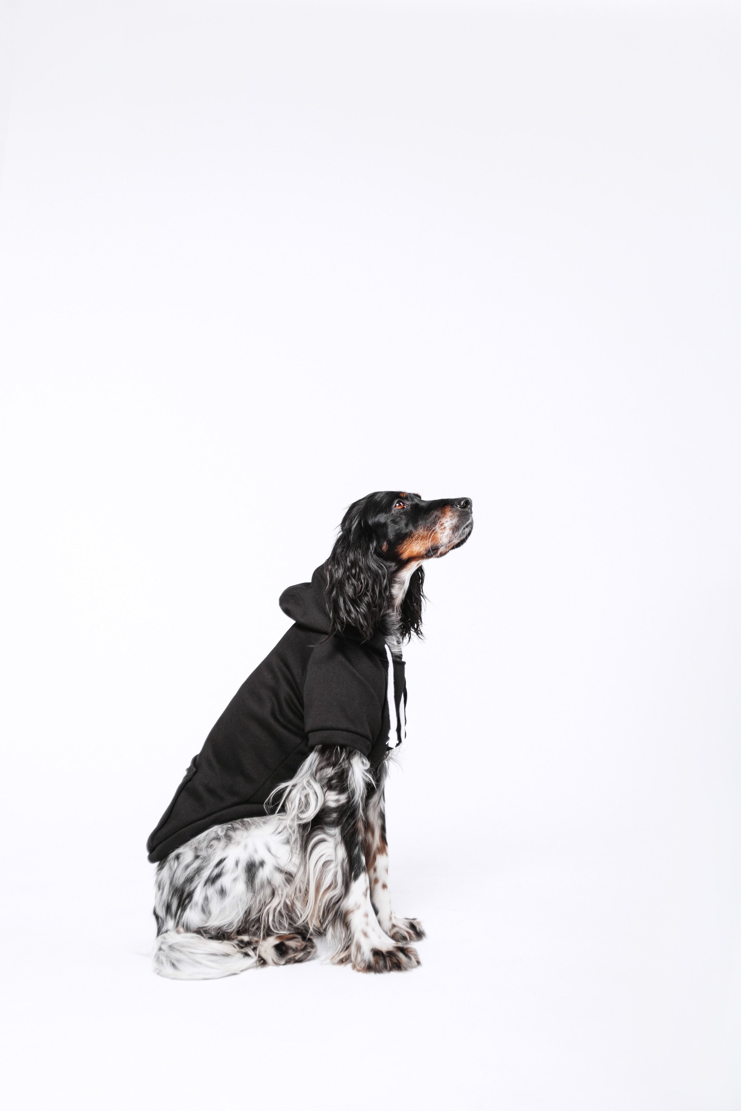 Света и Богдана. Фотограф-анималист Татьяна Степанова